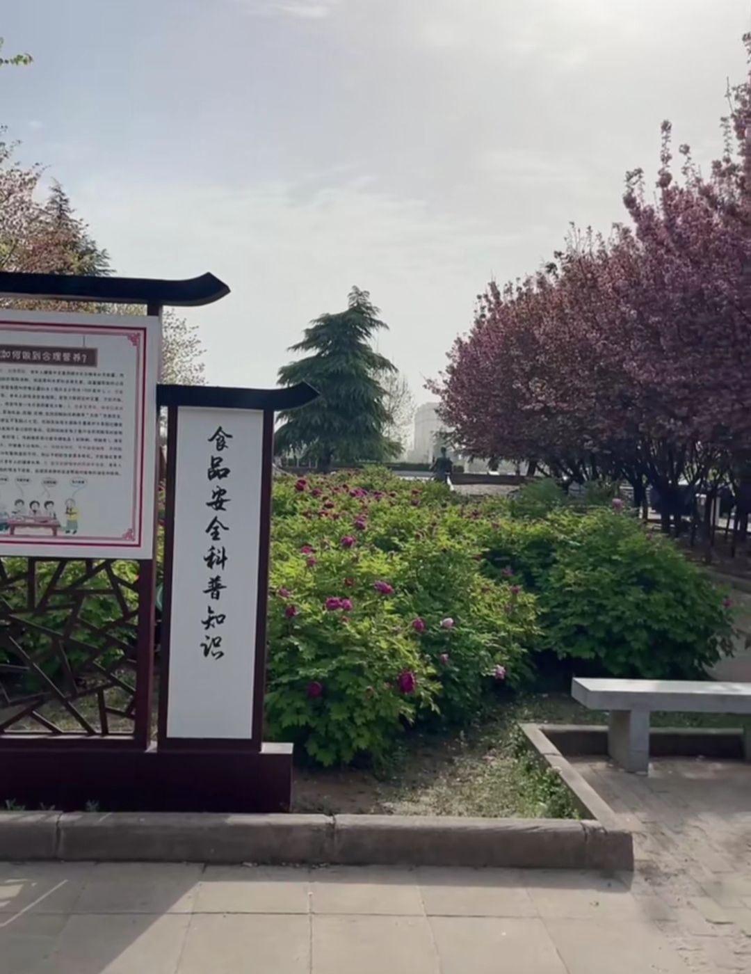 砥柱广场旅行图片 2