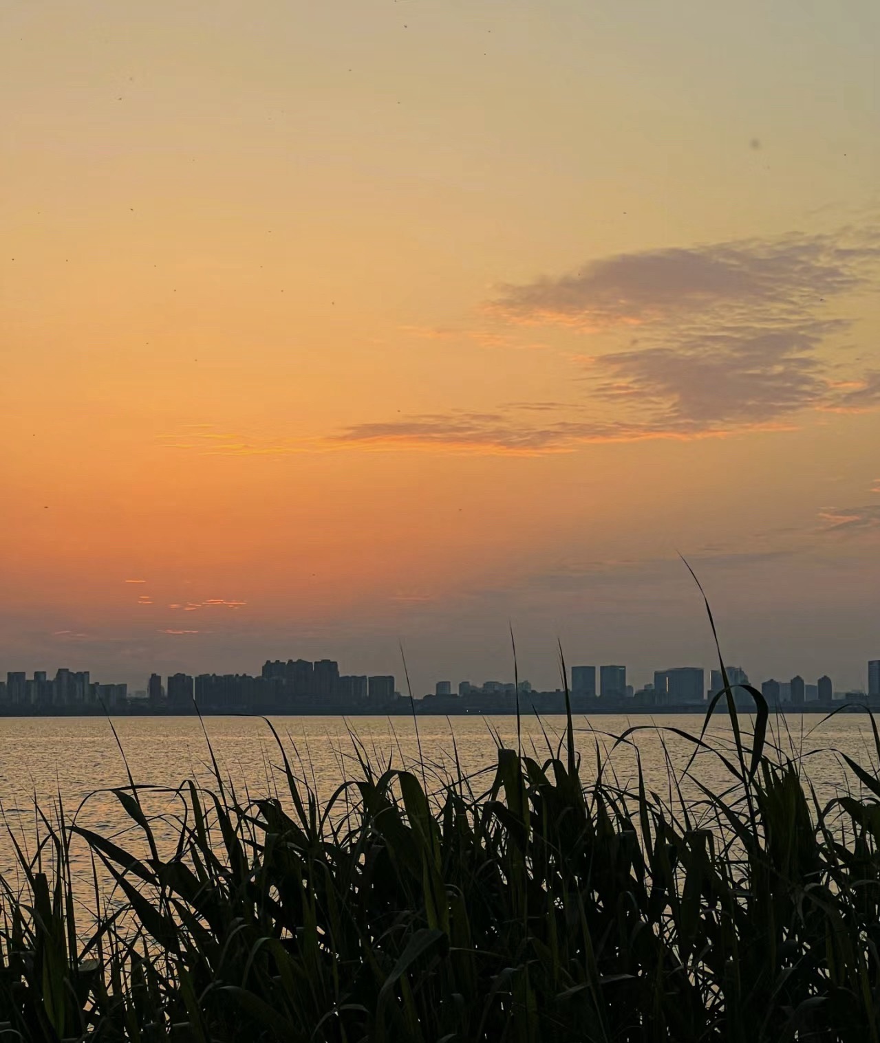 独墅湖公园旅行图片 2