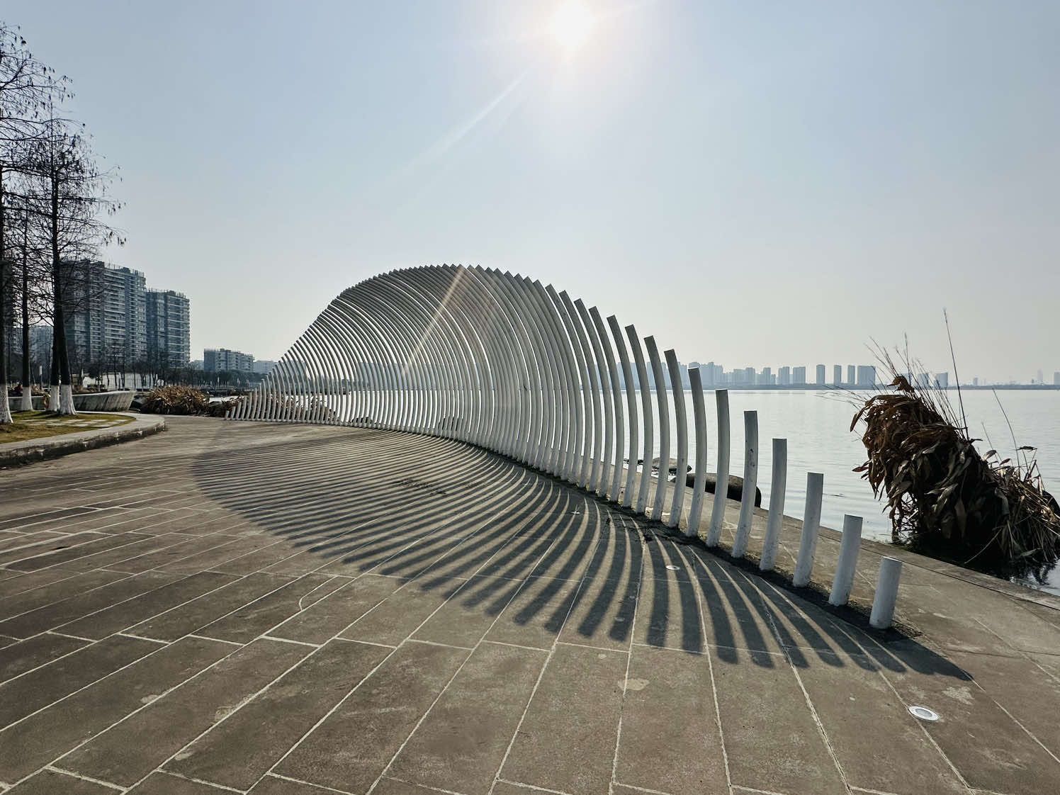 独墅湖公园旅行图片 1