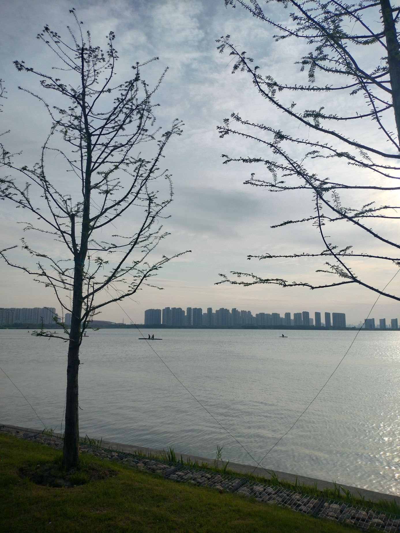 独墅湖公园旅行图片 1