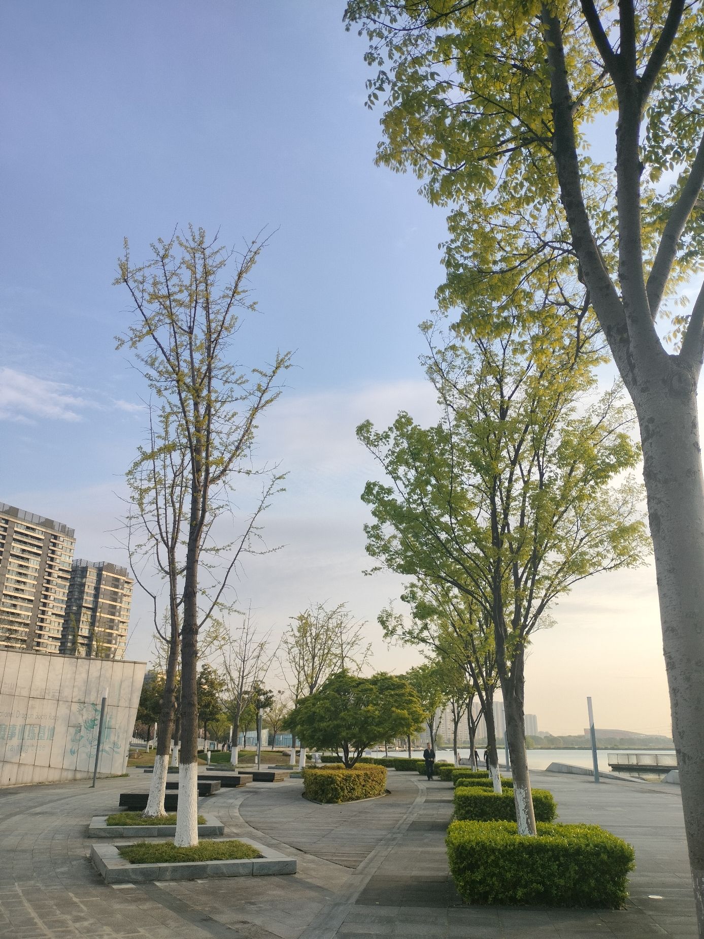 独墅湖公园旅行图片 3
