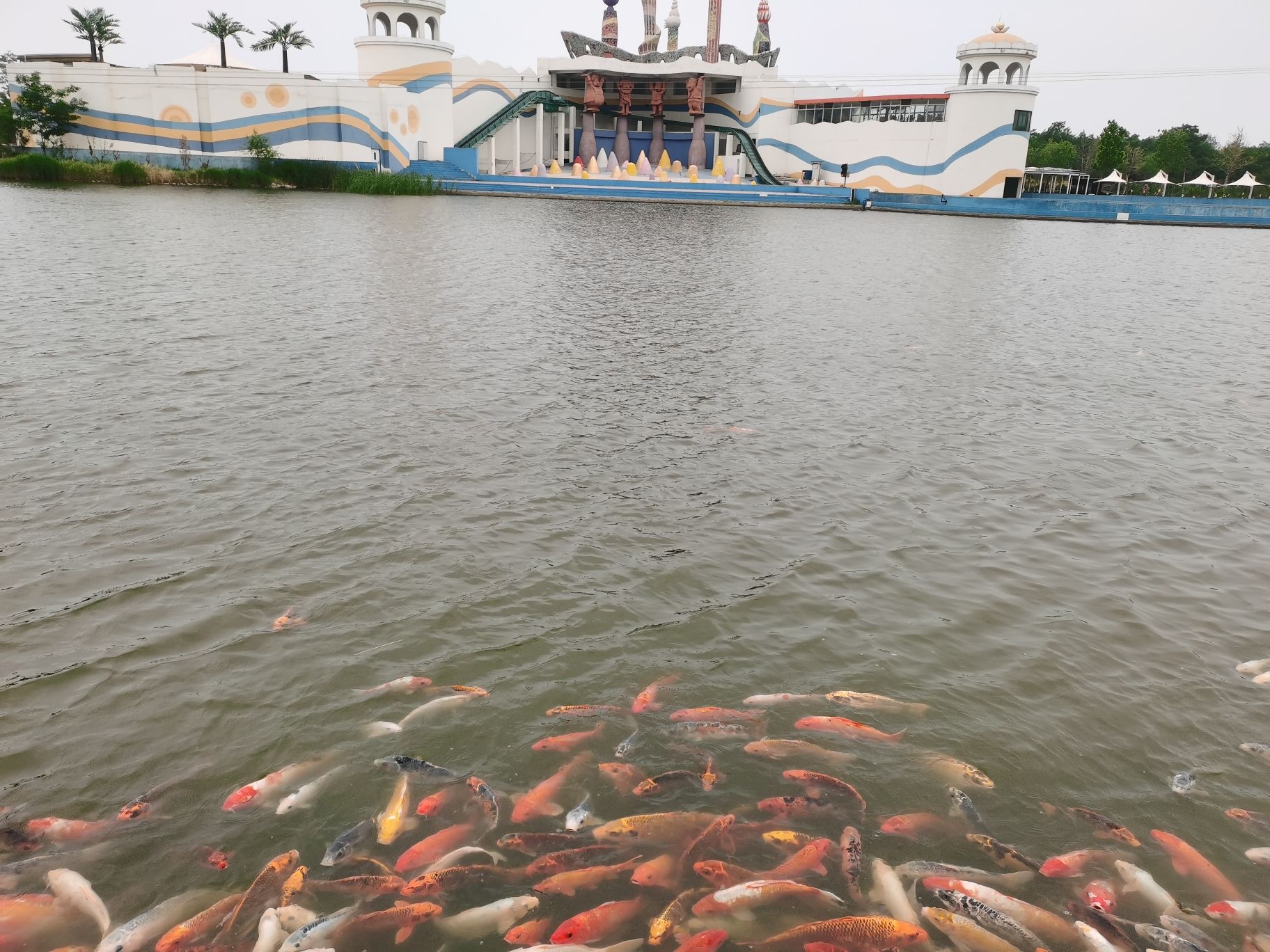 圣蓝海洋公园(暂停开放)旅行图片 3
