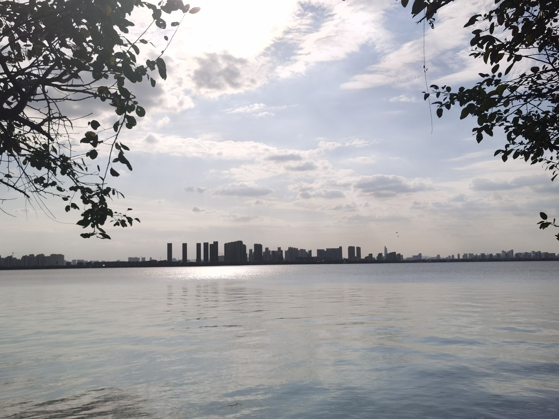 江滨公园旅行图片 2