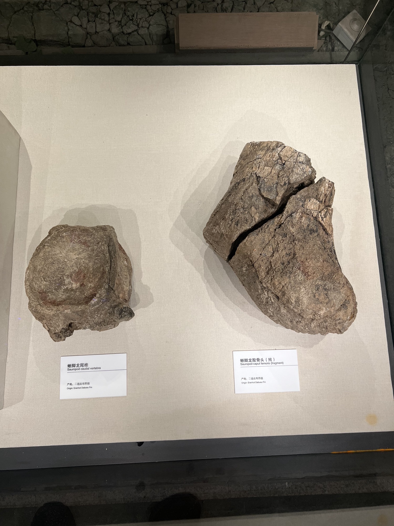 二连浩特博物馆旅行图片 3