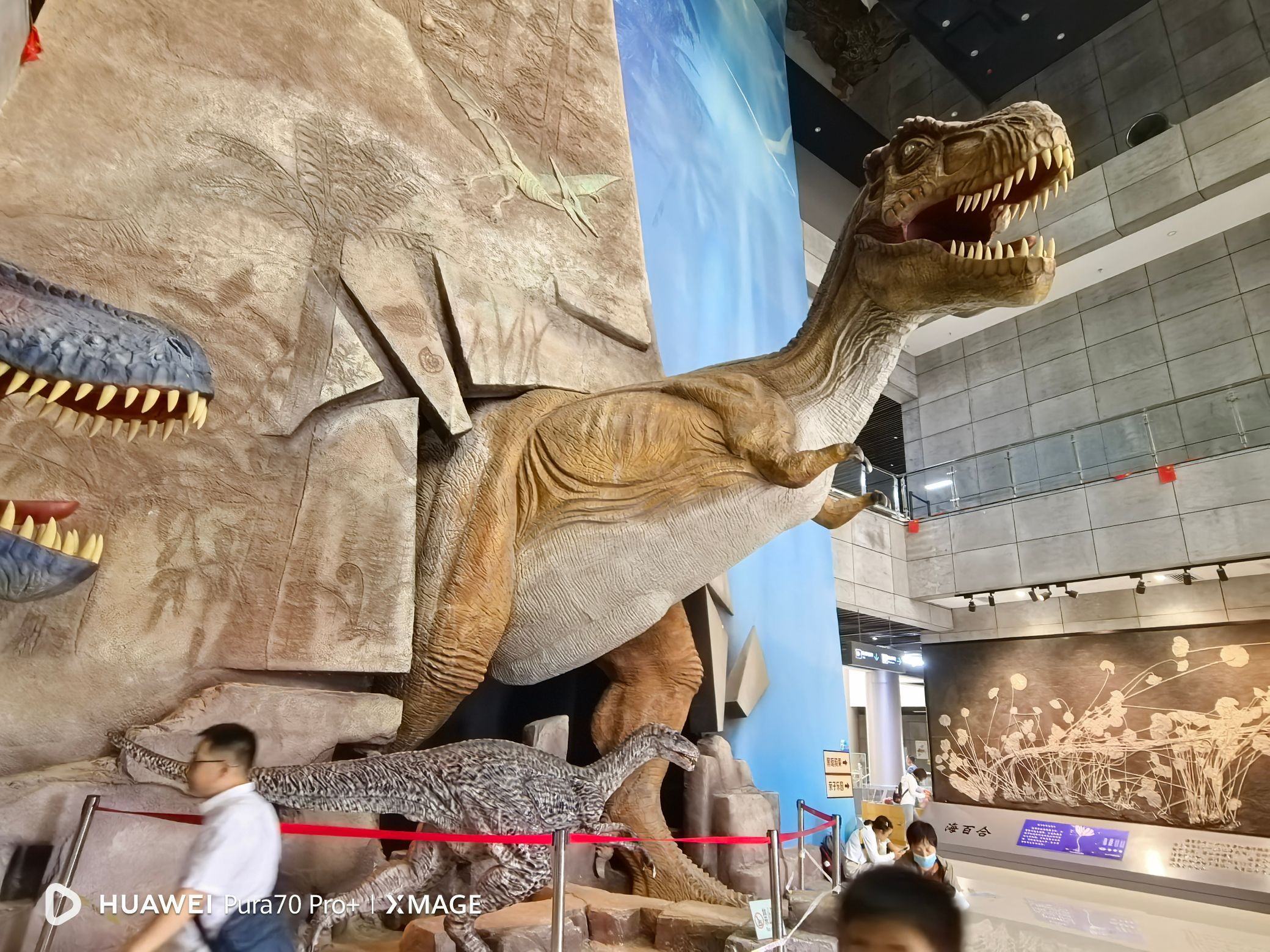 二连浩特博物馆旅行图片 1