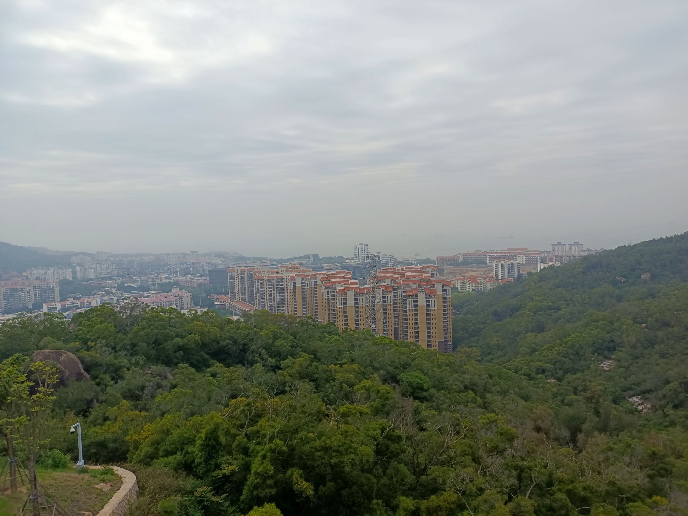 翔安大道公园旅行图片 3