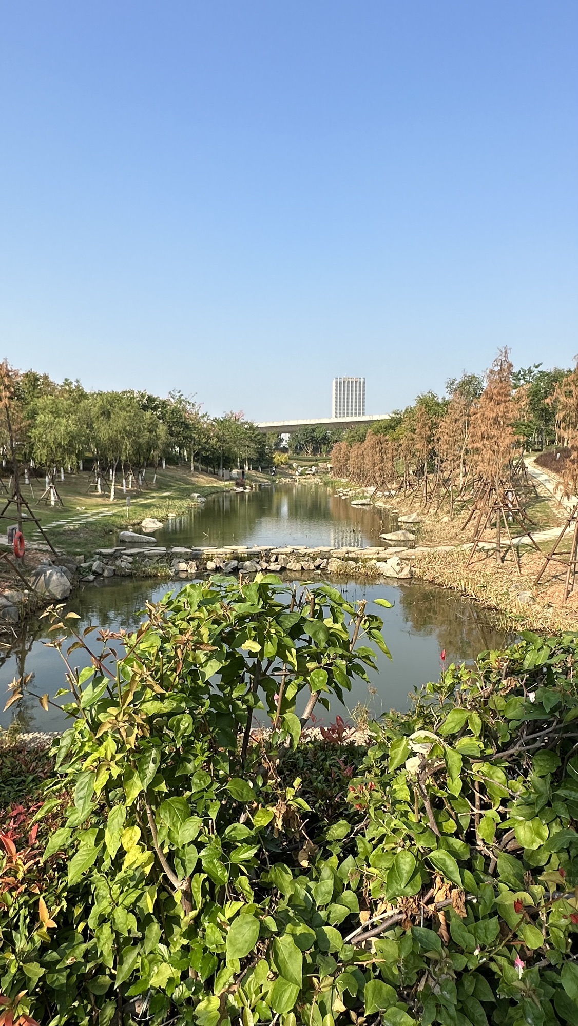 翔安大道公园旅行图片 1