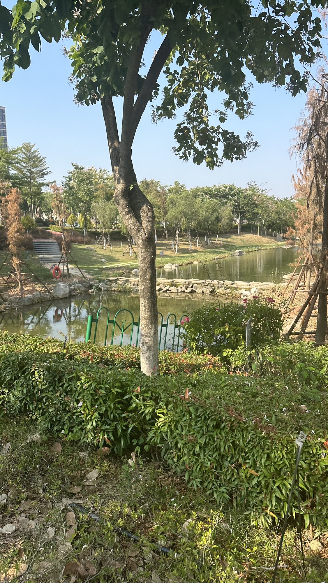 翔安大道公园旅行图片 3