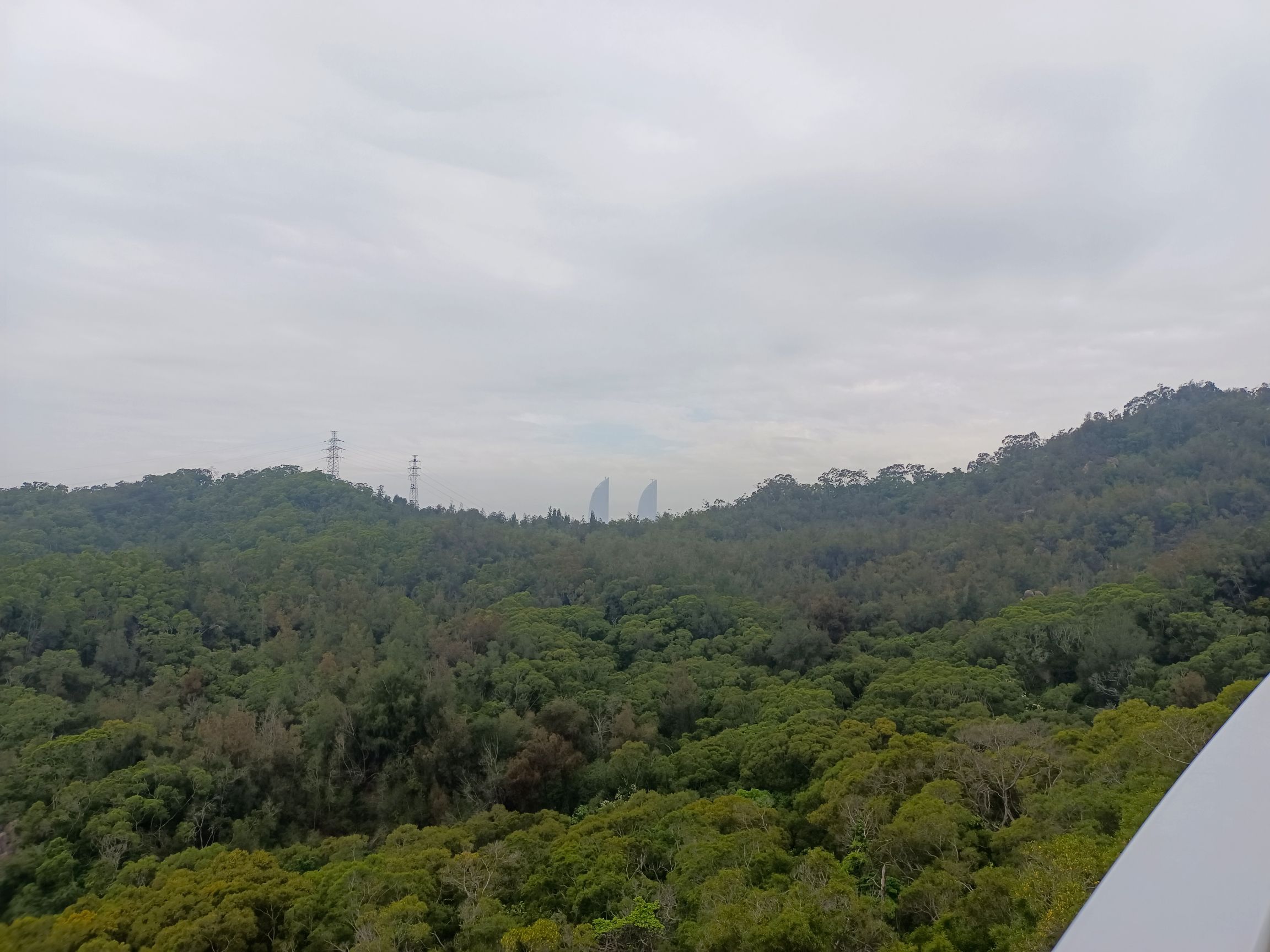 翔安大道公园旅行图片 2