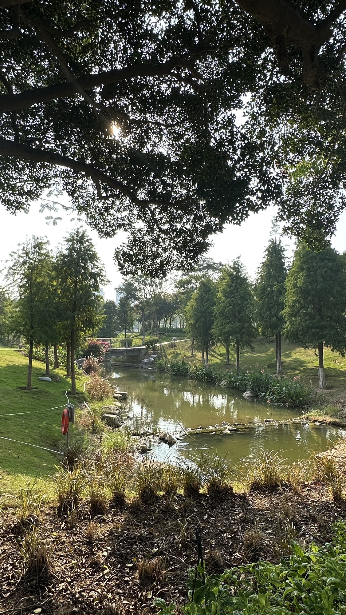 翔安大道公园旅行图片 2