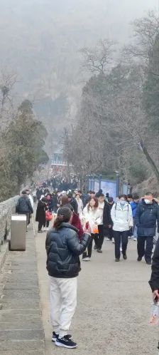 岱顶山风景区旅行图片 1