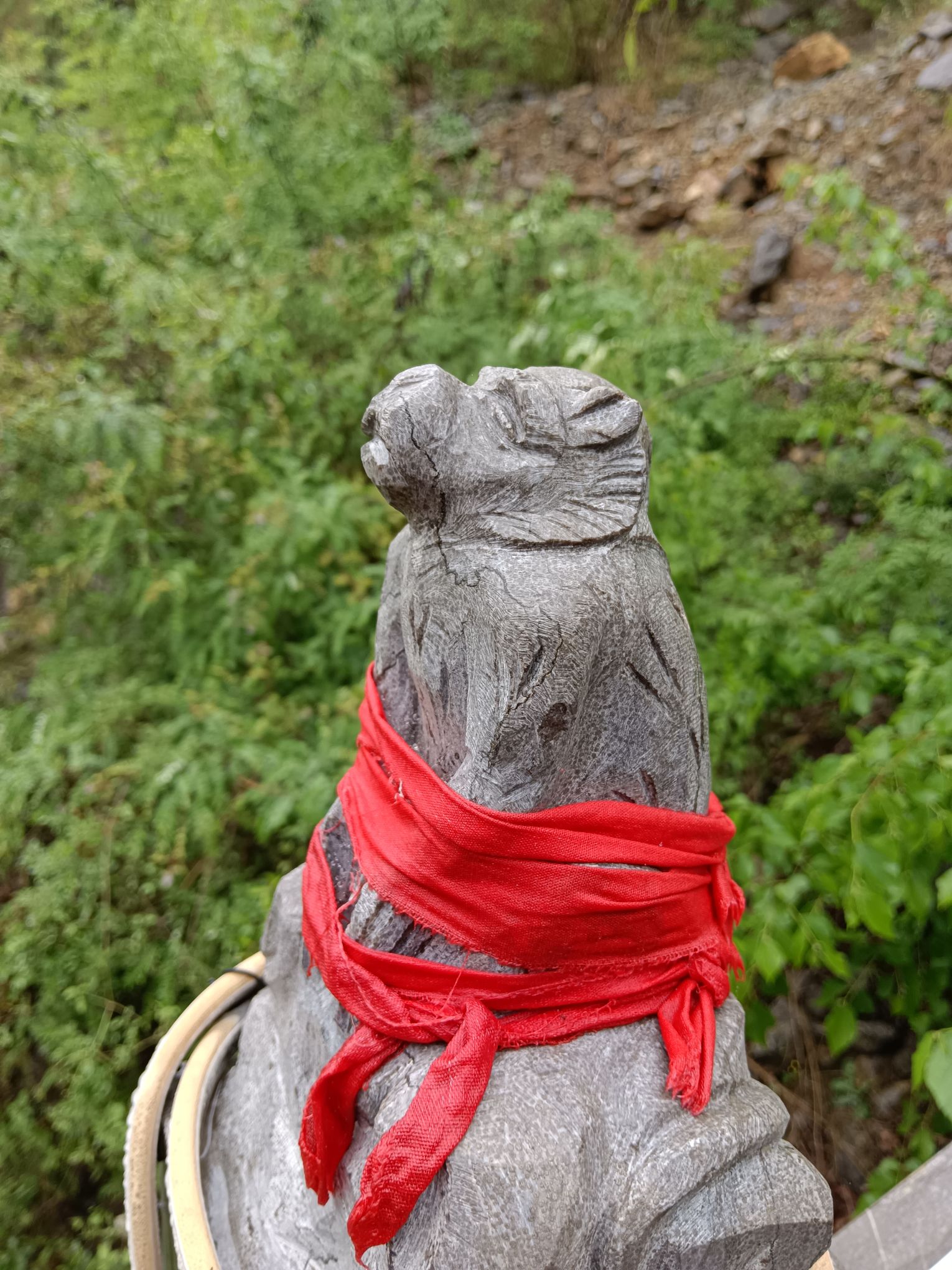 岱顶山风景区旅行图片 3