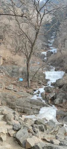 岱顶山风景区旅行图片 2