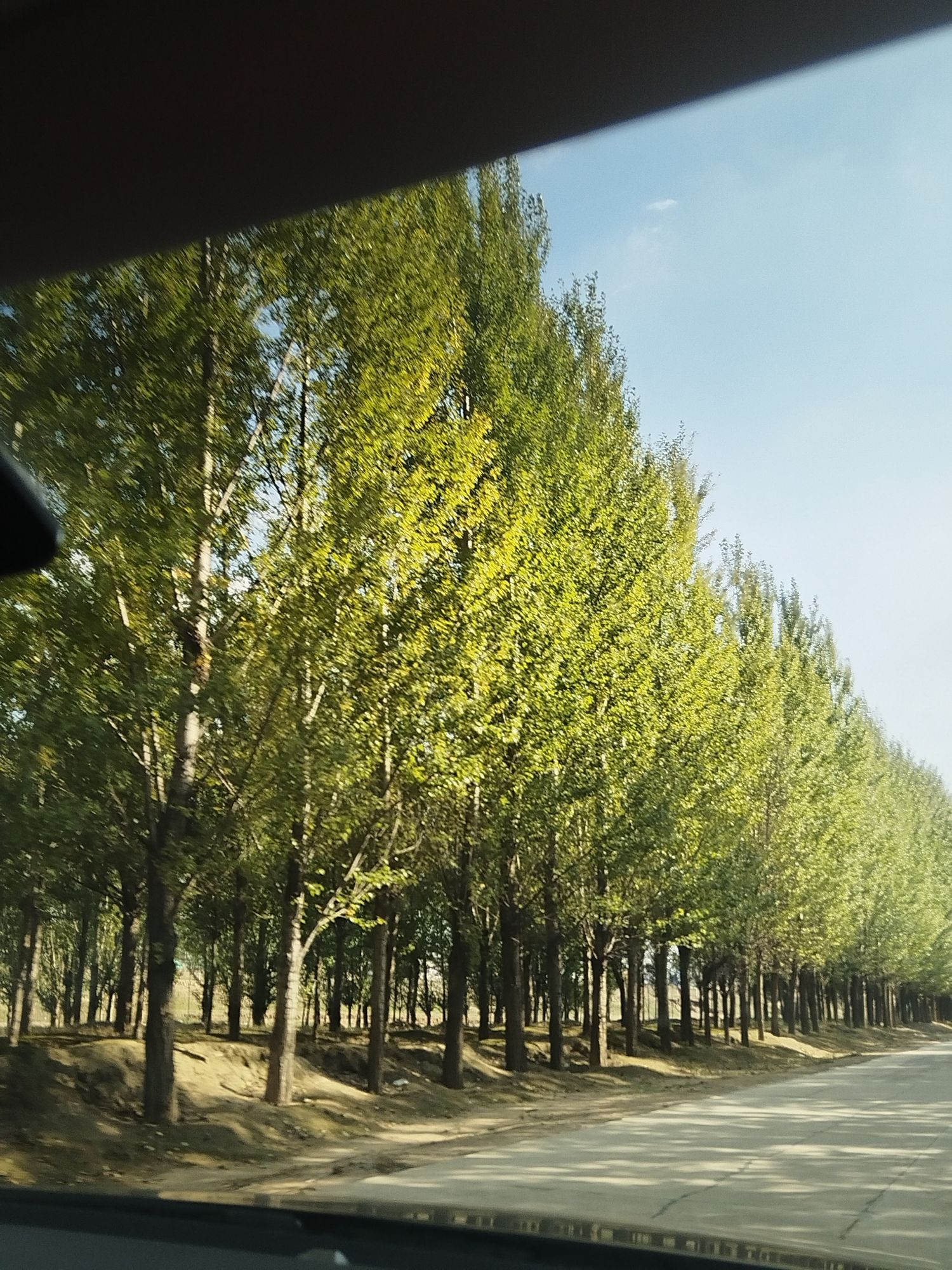 润昇湖旅行图片 1