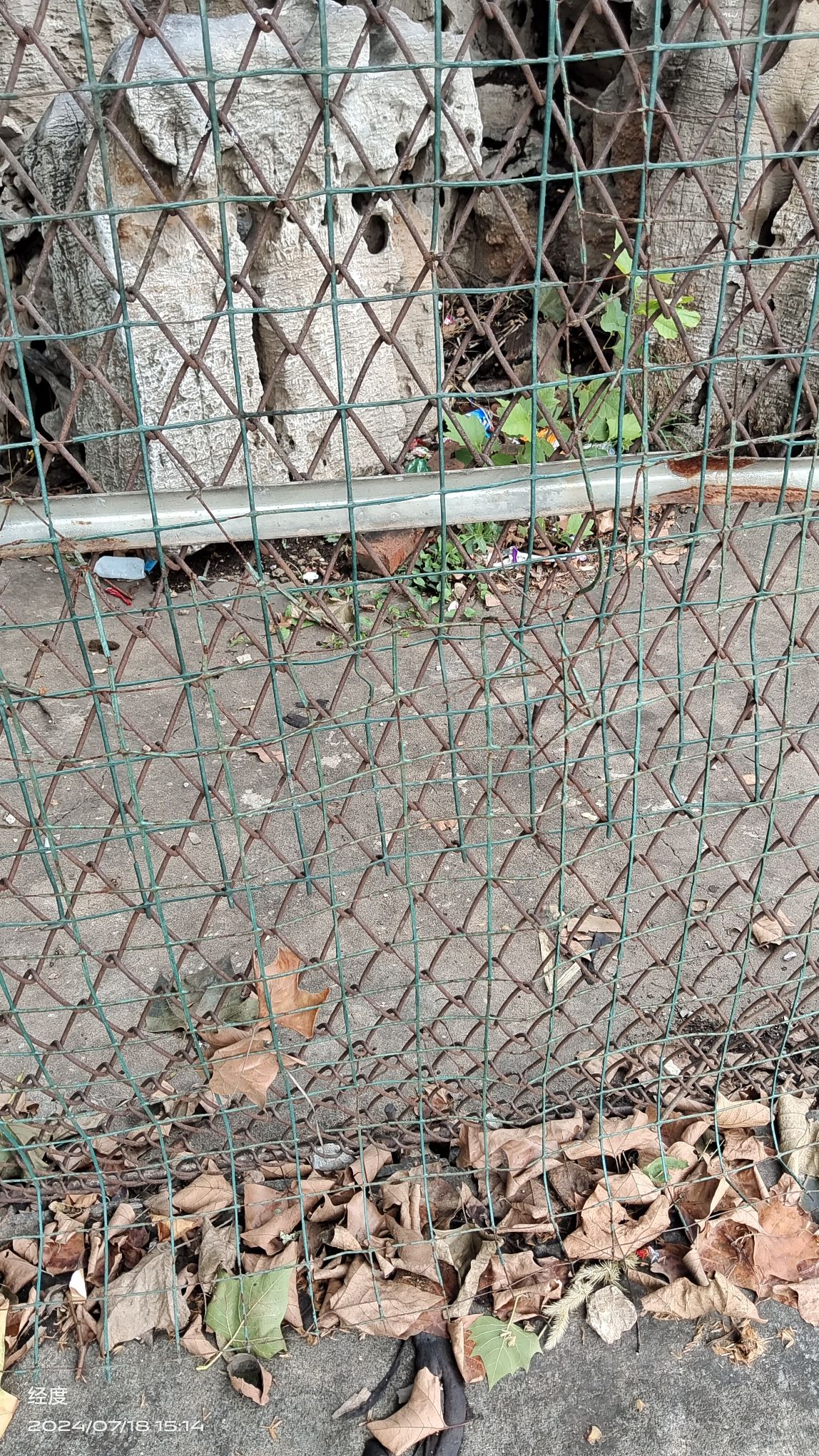 贾汪北郊公园旅行图片 2