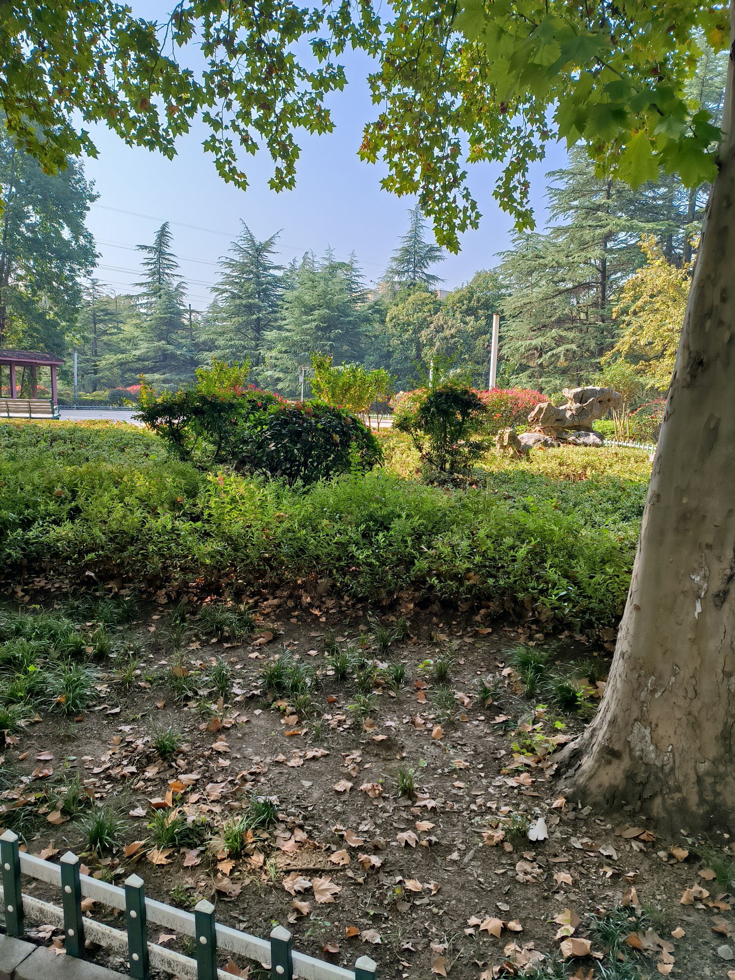 贾汪北郊公园旅行图片 2