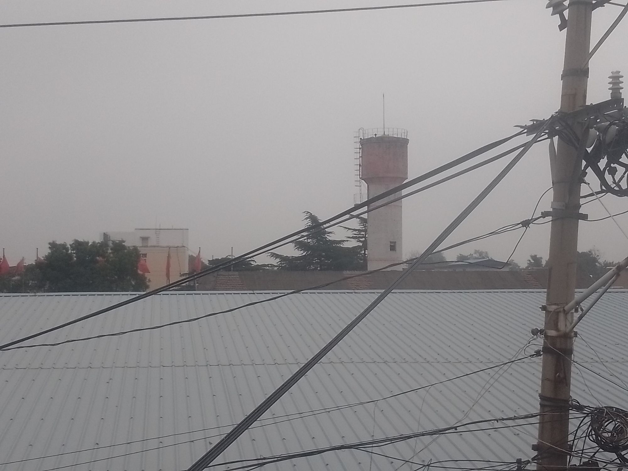 七一广场旅行图片 1