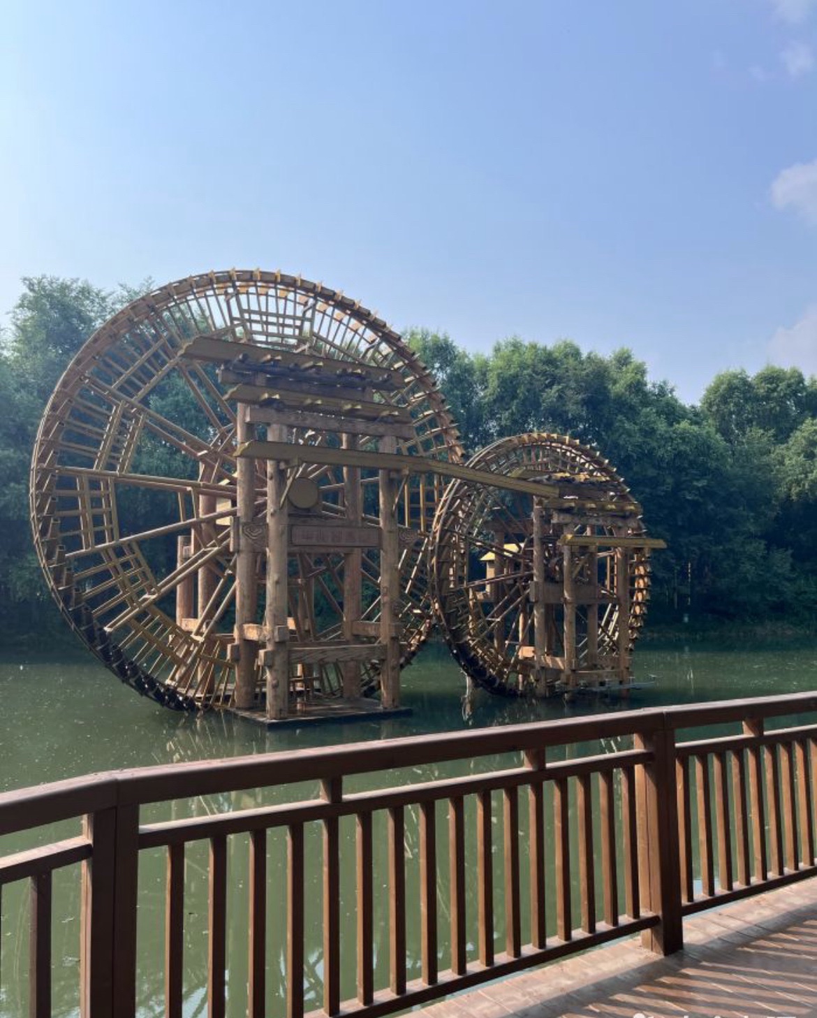 植物王国站旅行图片 3