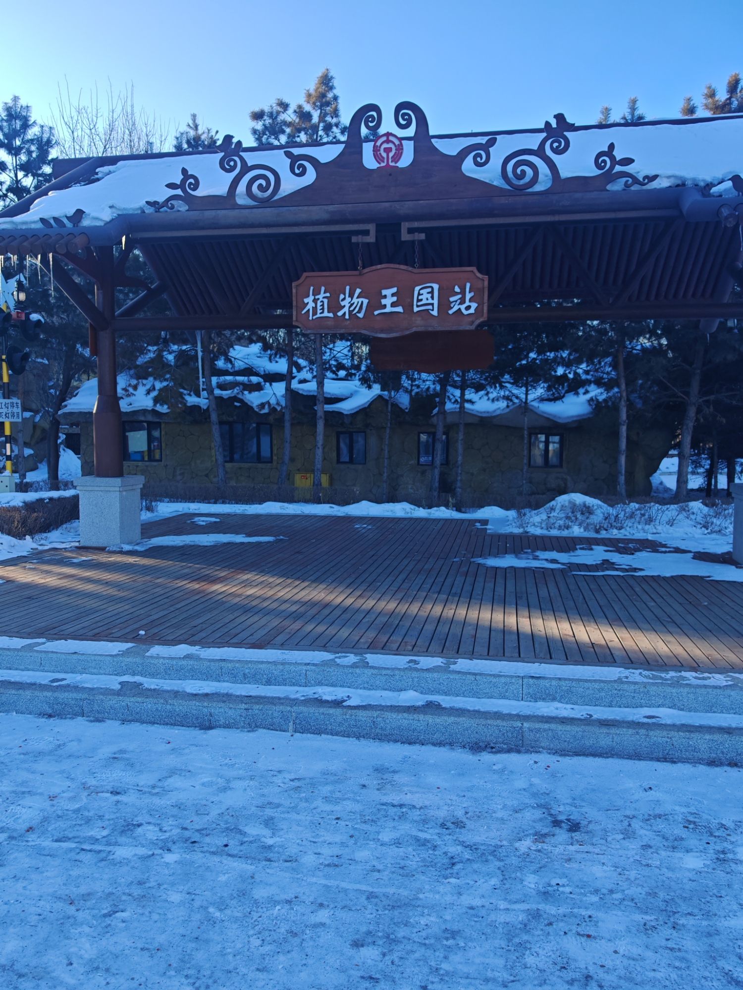 植物王国站旅行图片 1