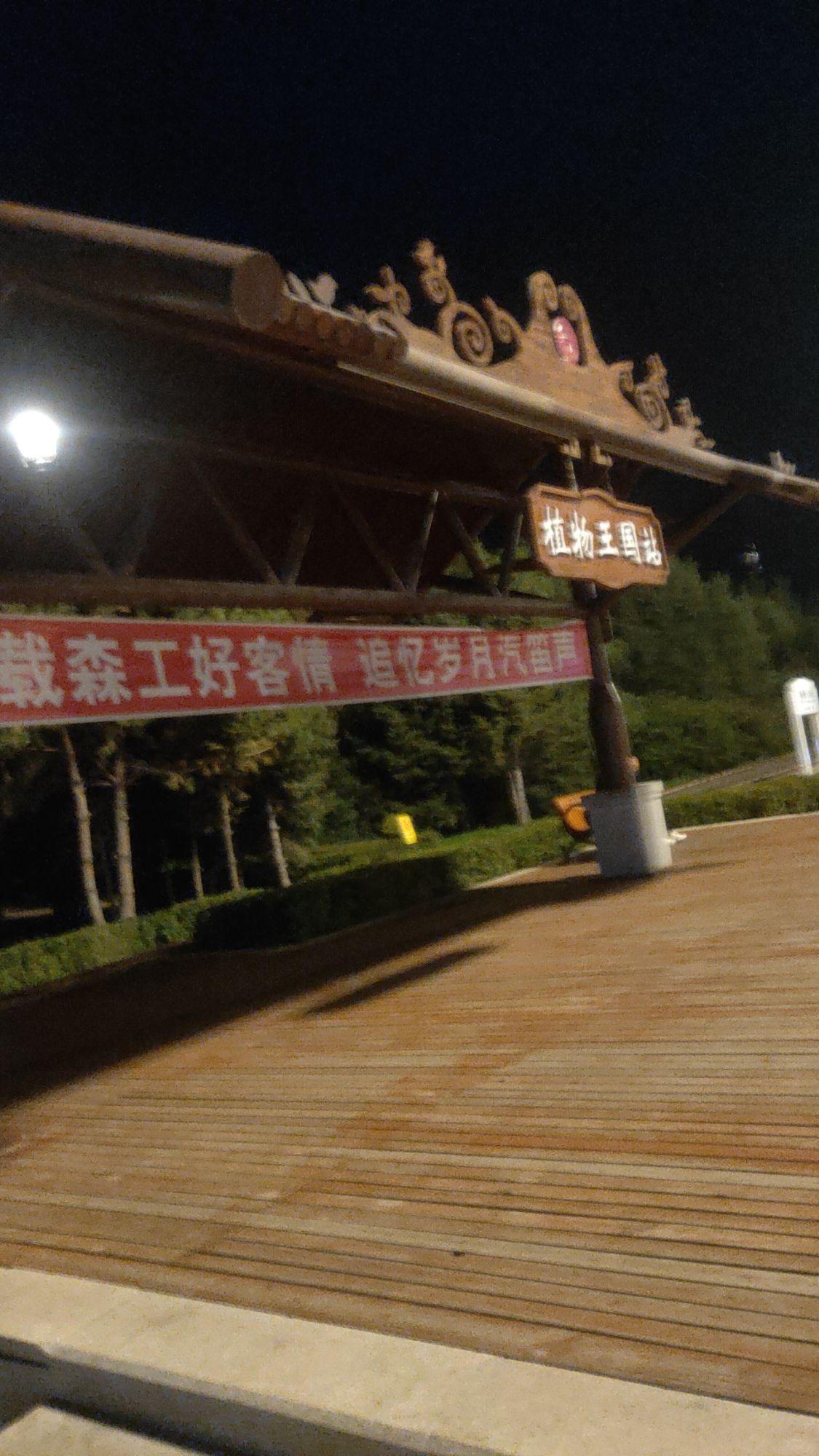 植物王国站旅行图片 1