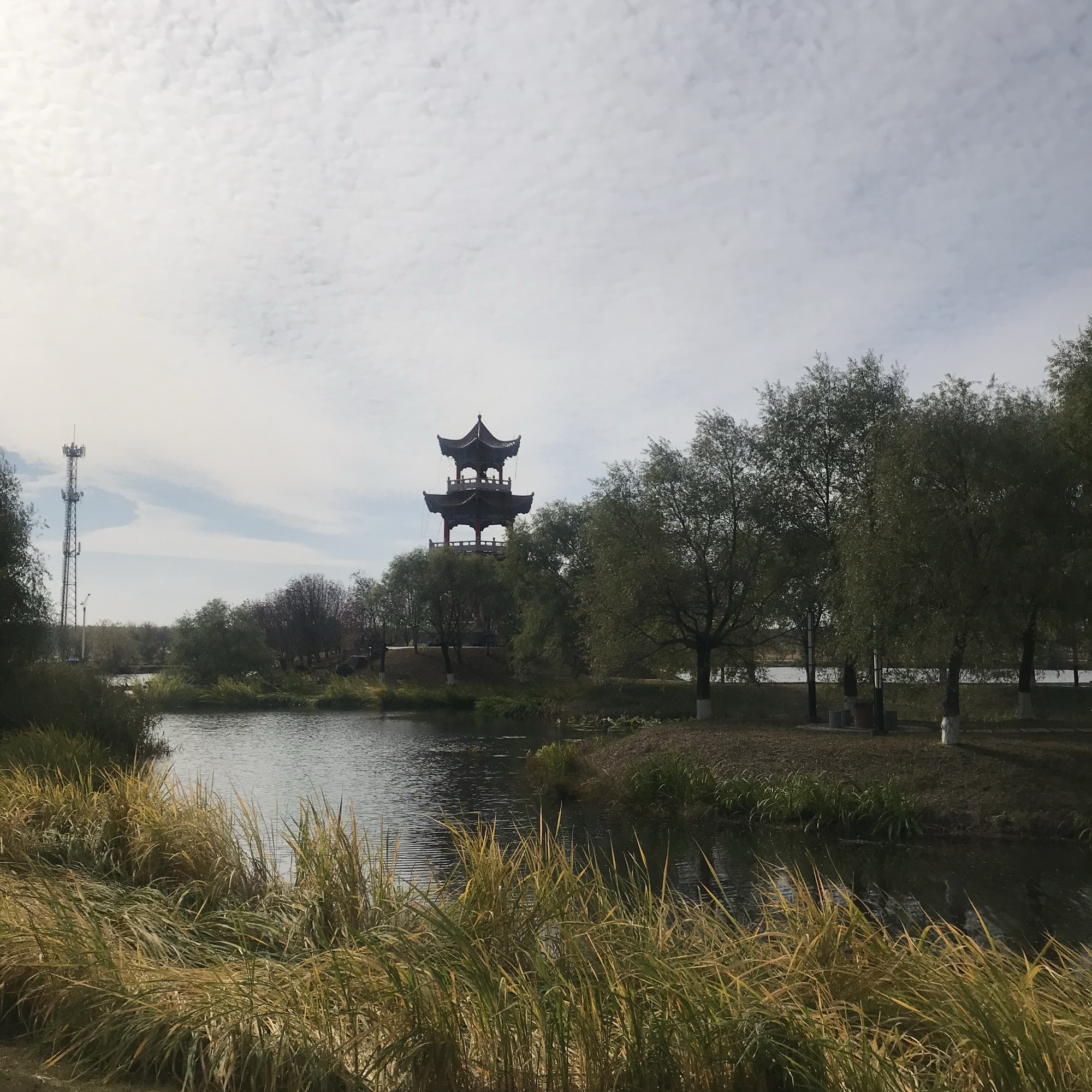 南湖公园旅行图片 3