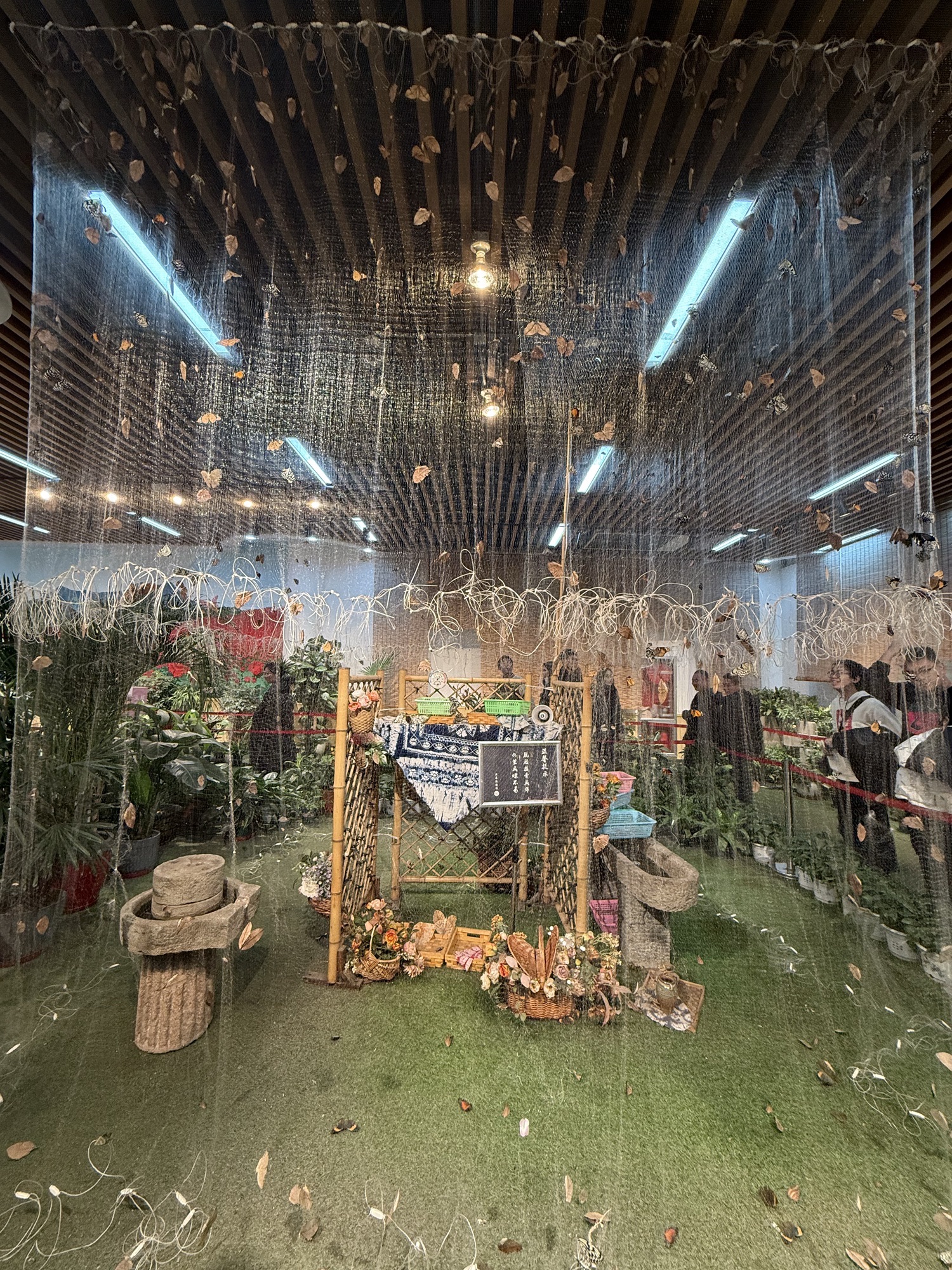 植物园旅行图片 3