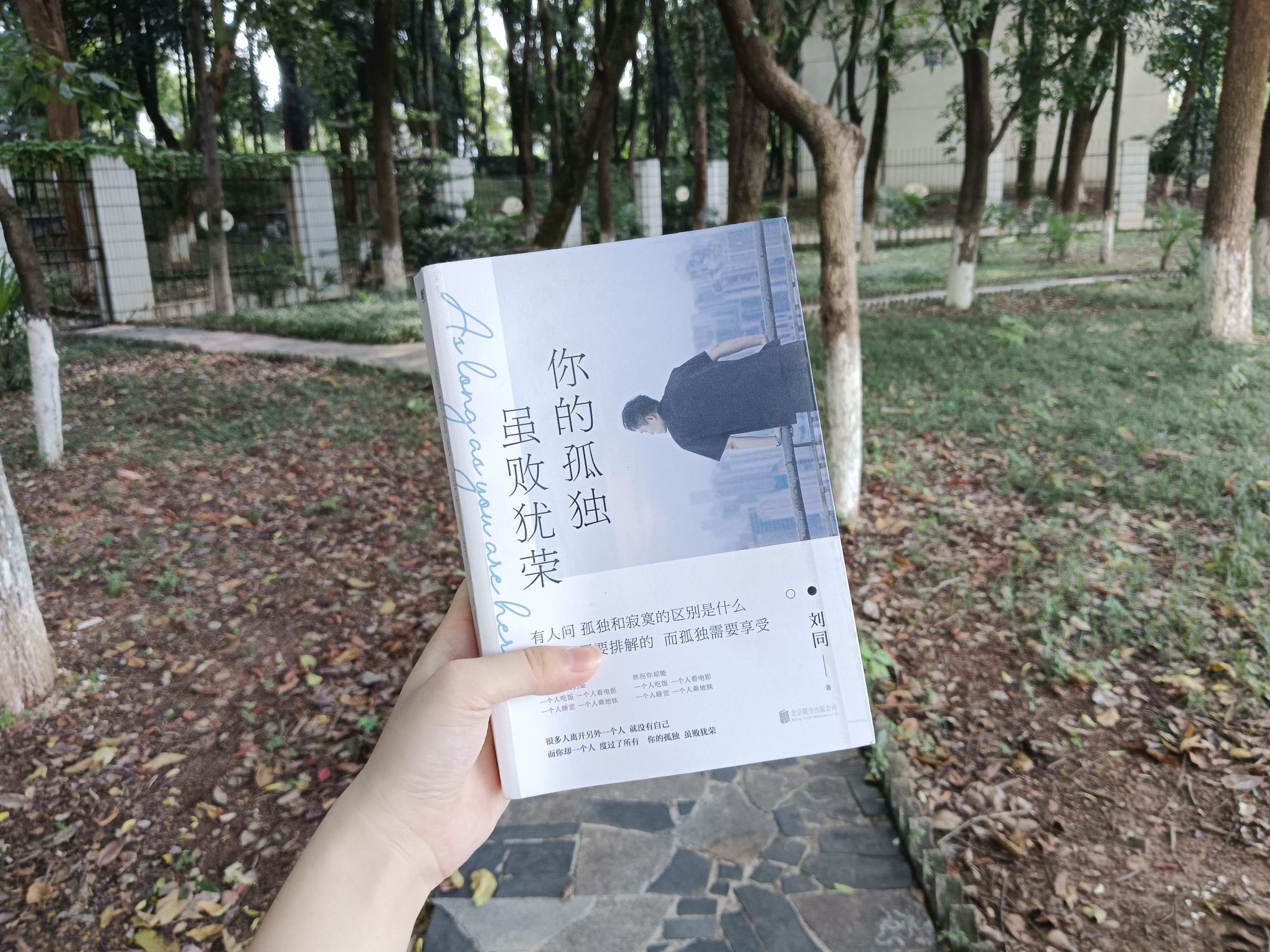 晚晴湖旅行图片 1