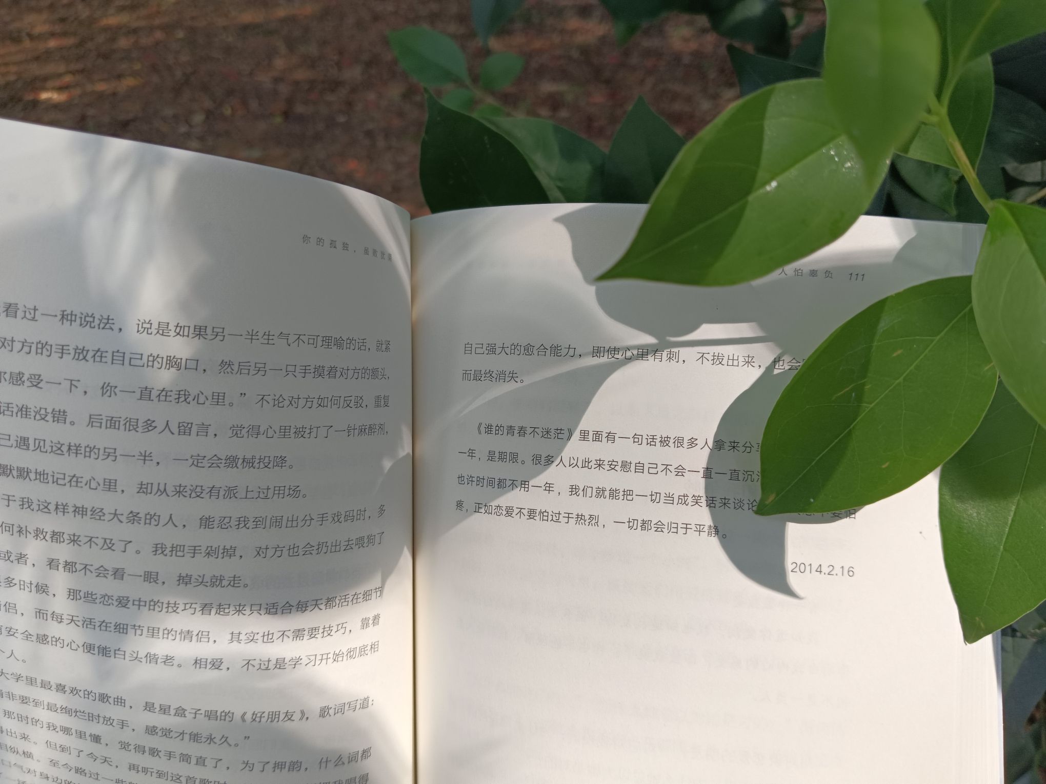 晚晴湖旅行图片 2