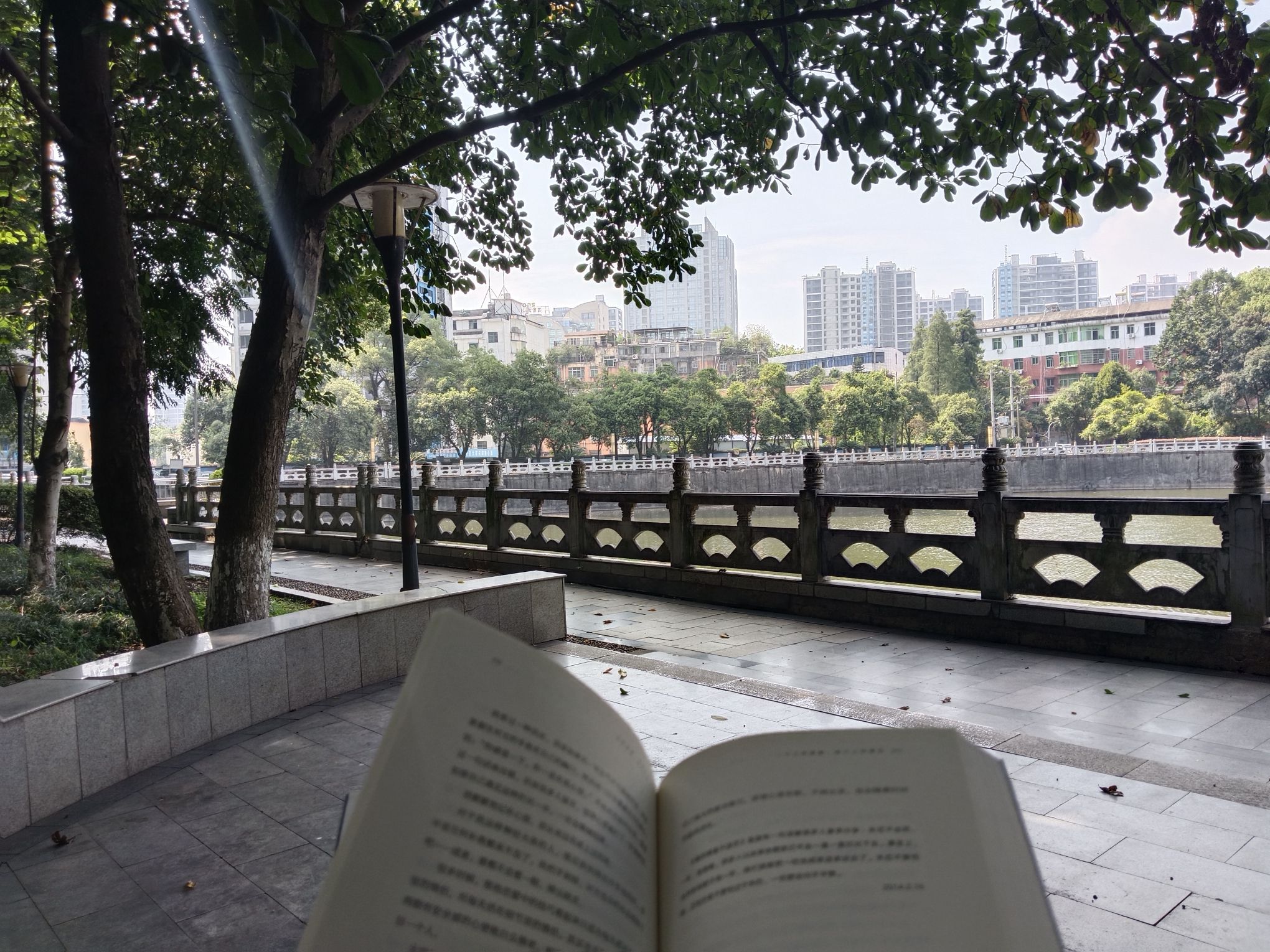 晚晴湖旅行图片 3