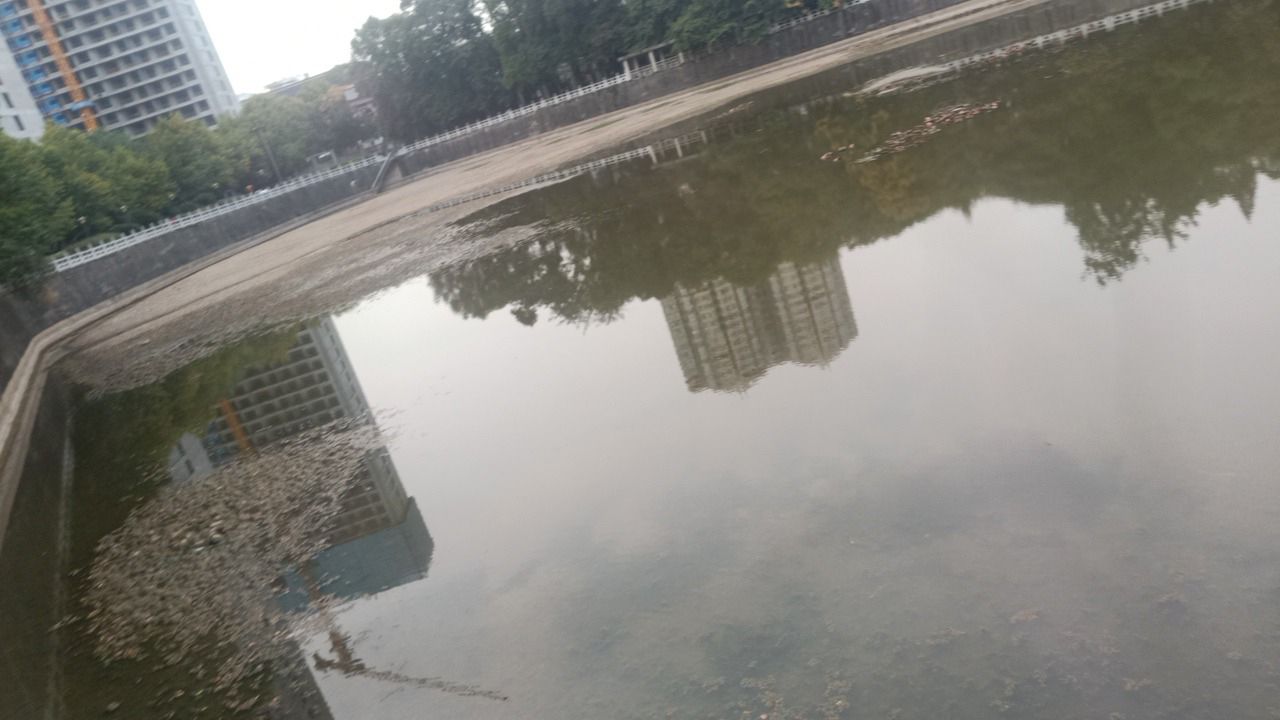 晚晴湖旅行图片 2