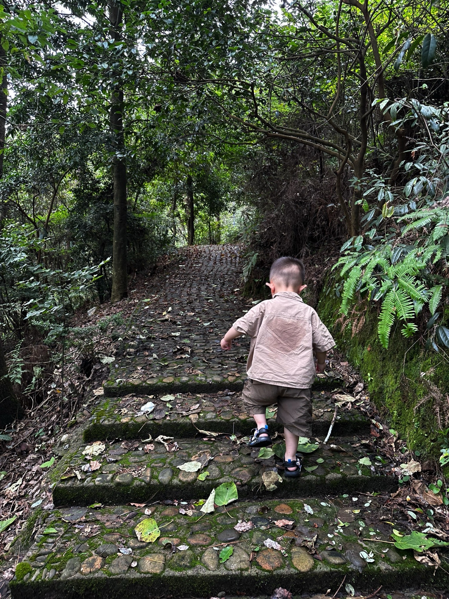 骆驼山公园旅行图片 2
