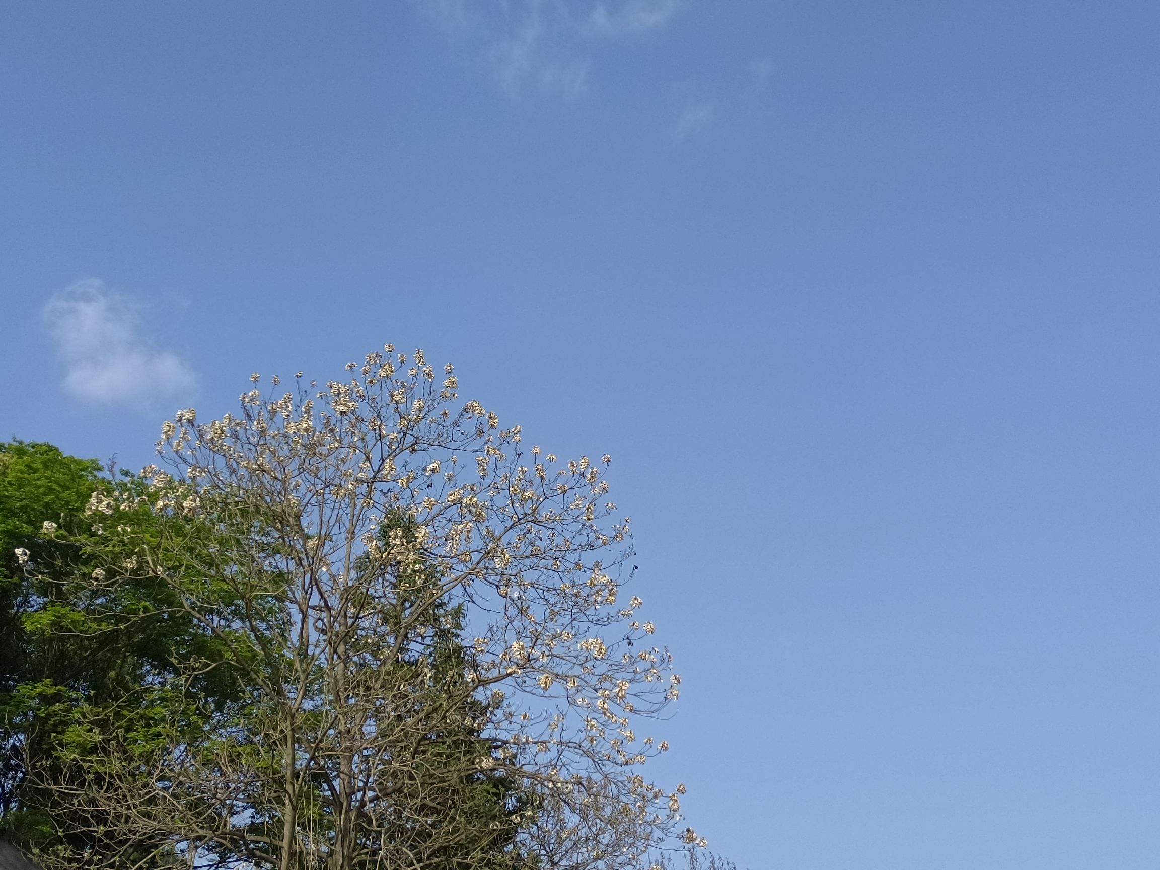 骆驼山公园旅行图片 3