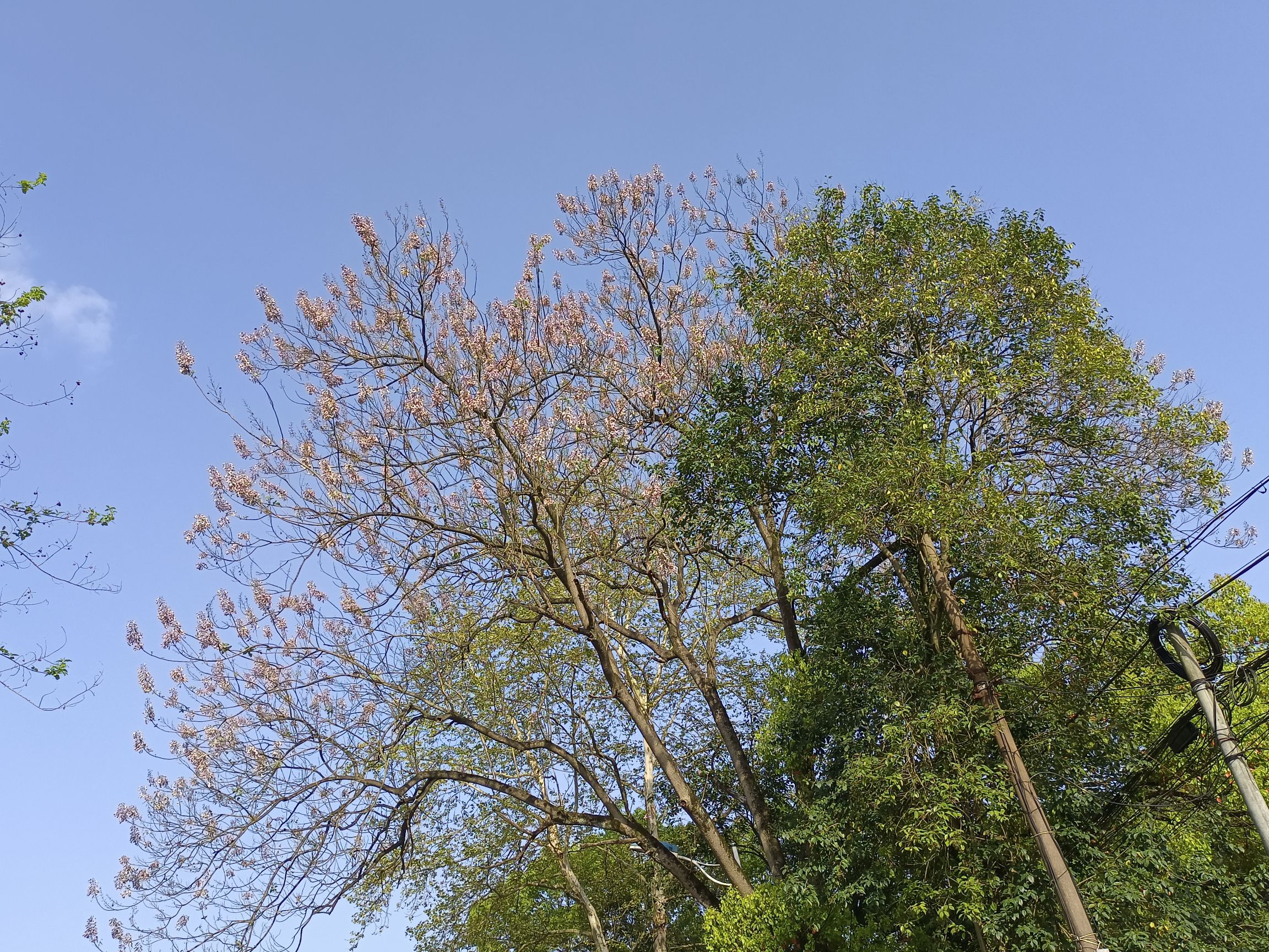 骆驼山公园旅行图片 2