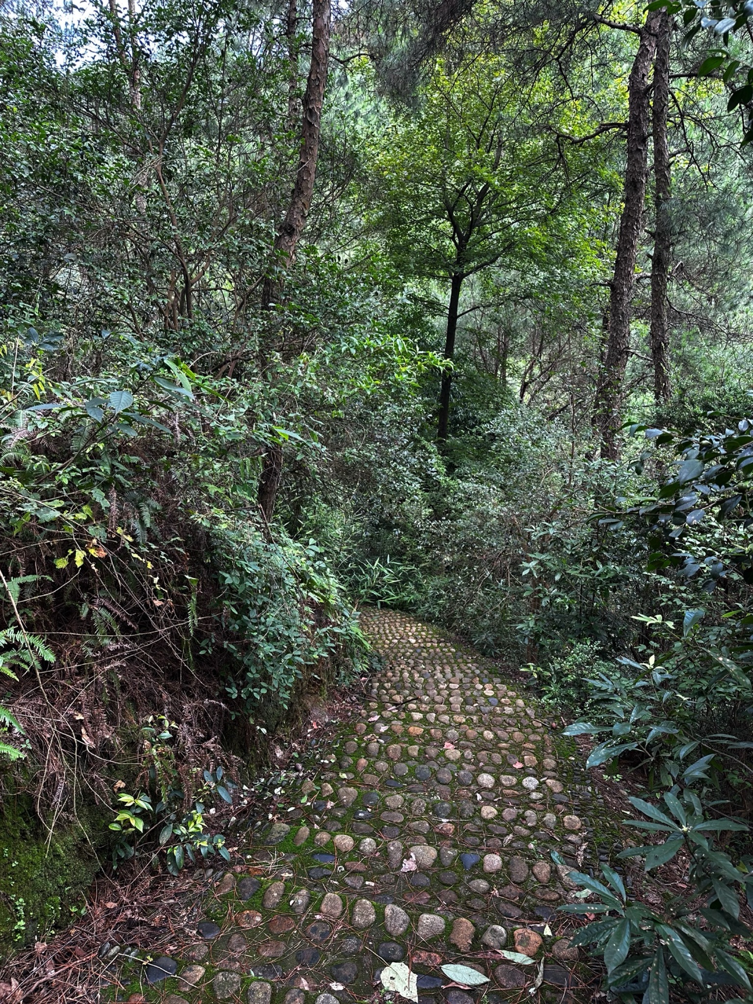 骆驼山公园旅行图片 3