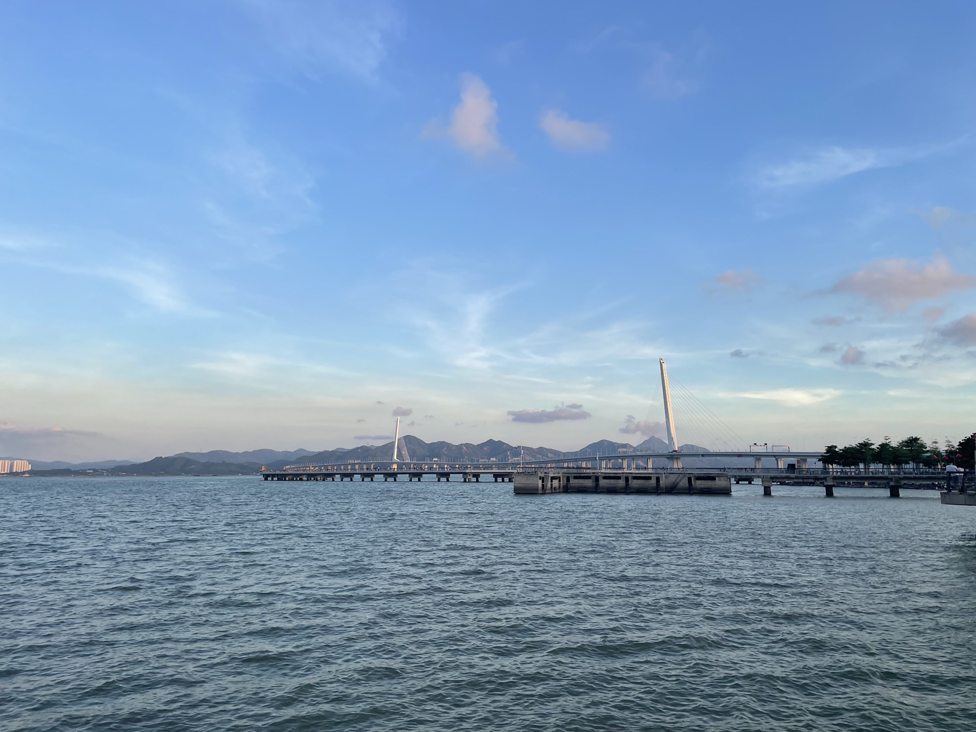 深圳湾公园观桥公园