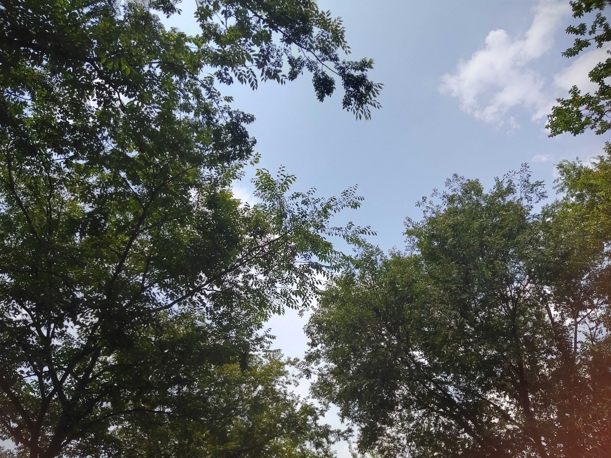 合丰公园旅行图片 2