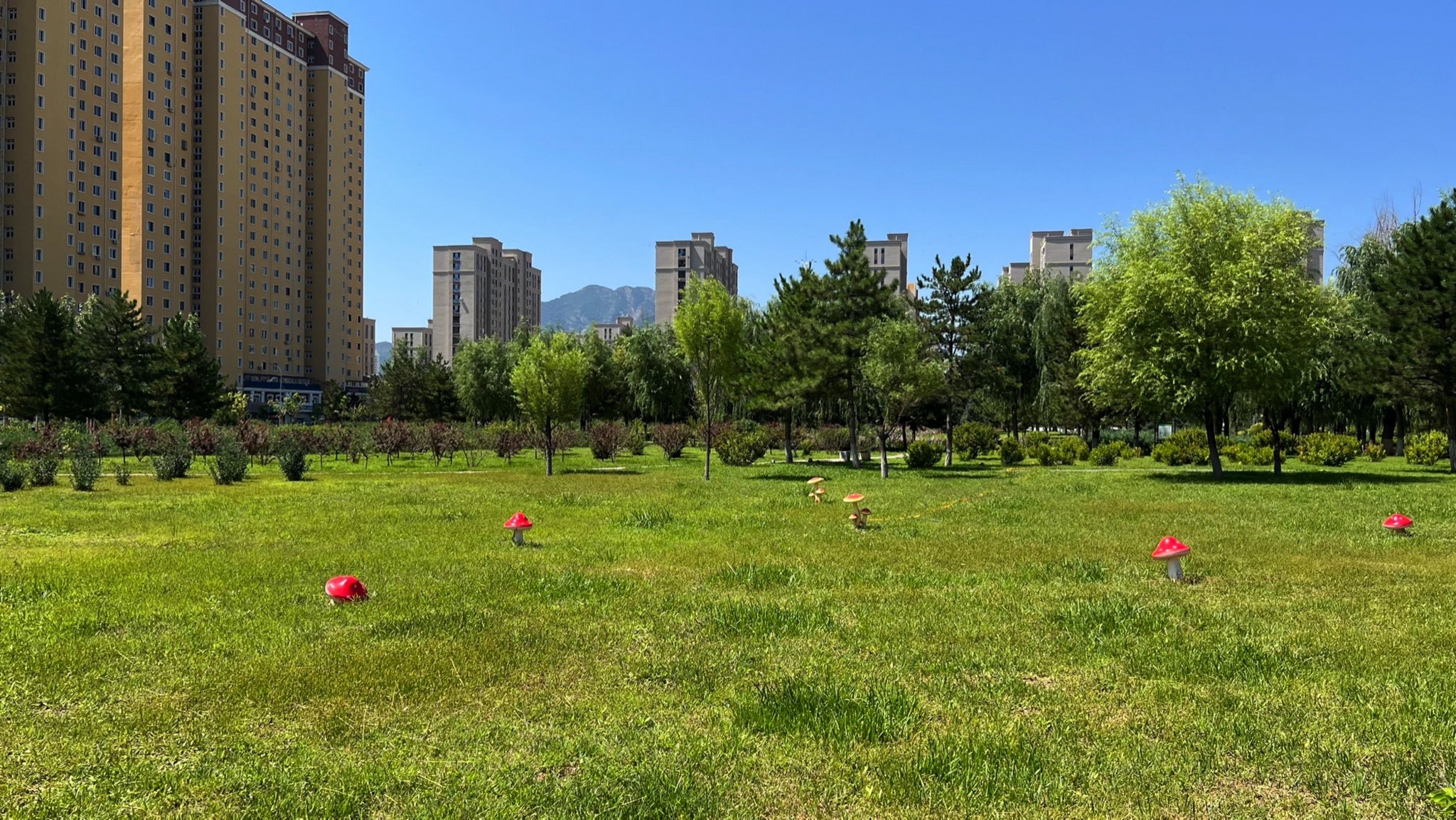 小川公园旅行图片 3
