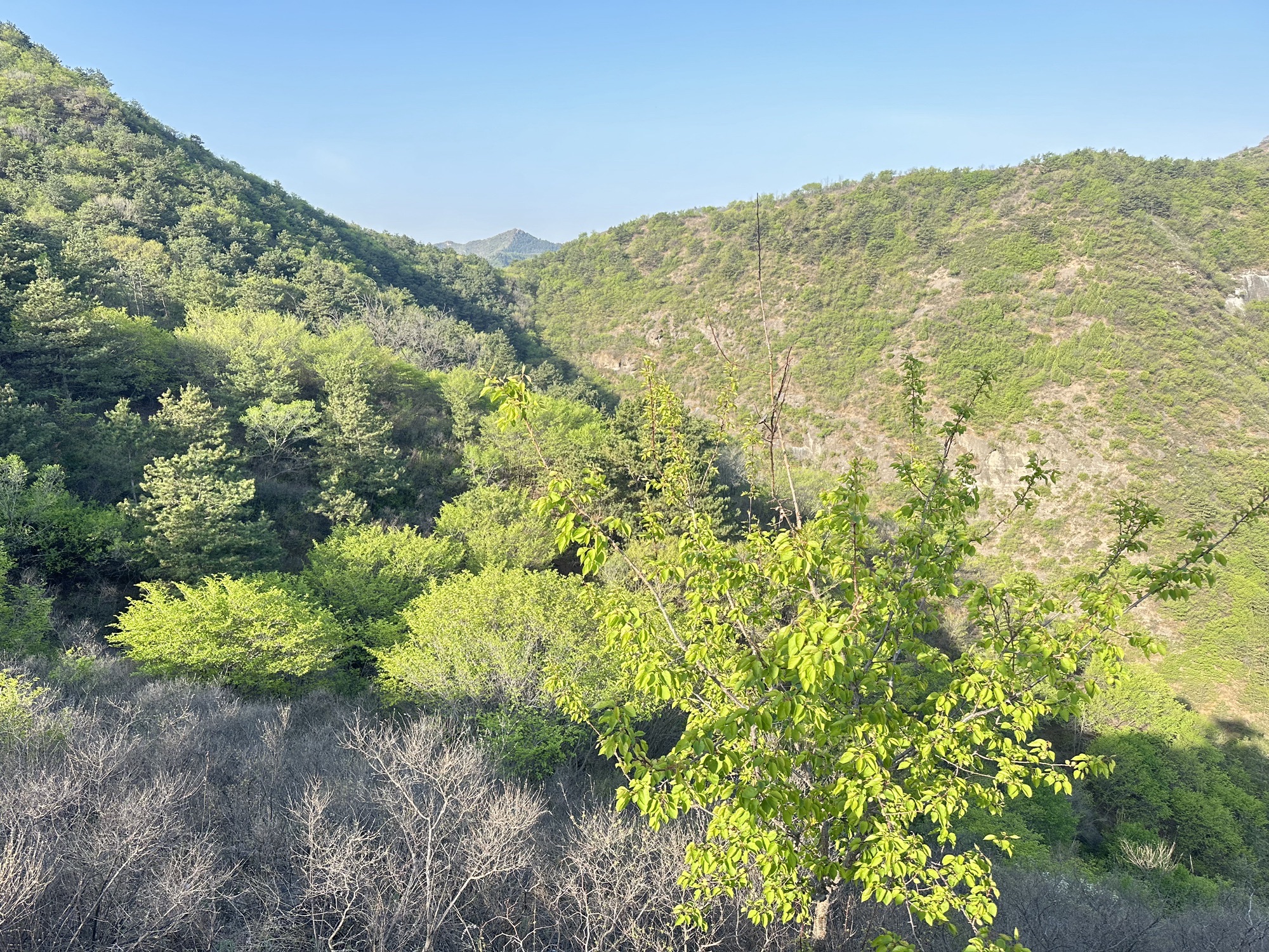 九华山森林休闲公园