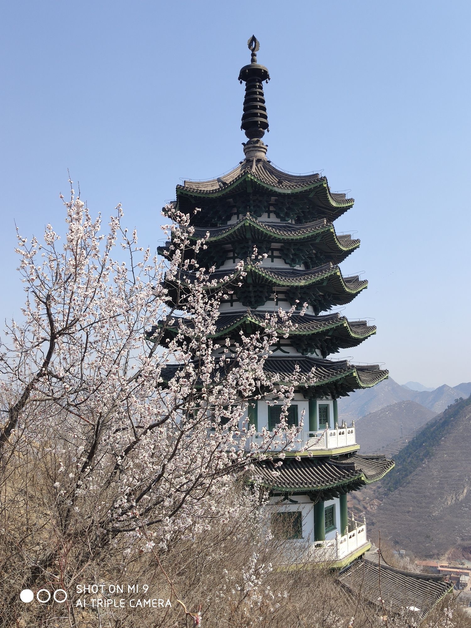 文笔峰公园旅行图片 3