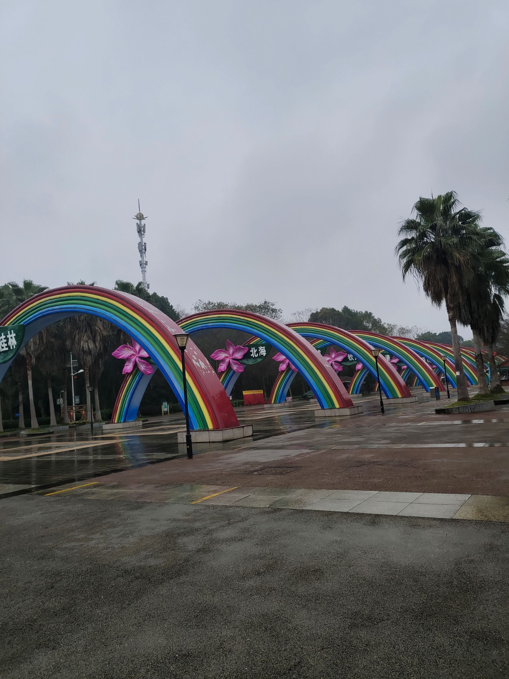 柳州园博园景区旅行图片 1