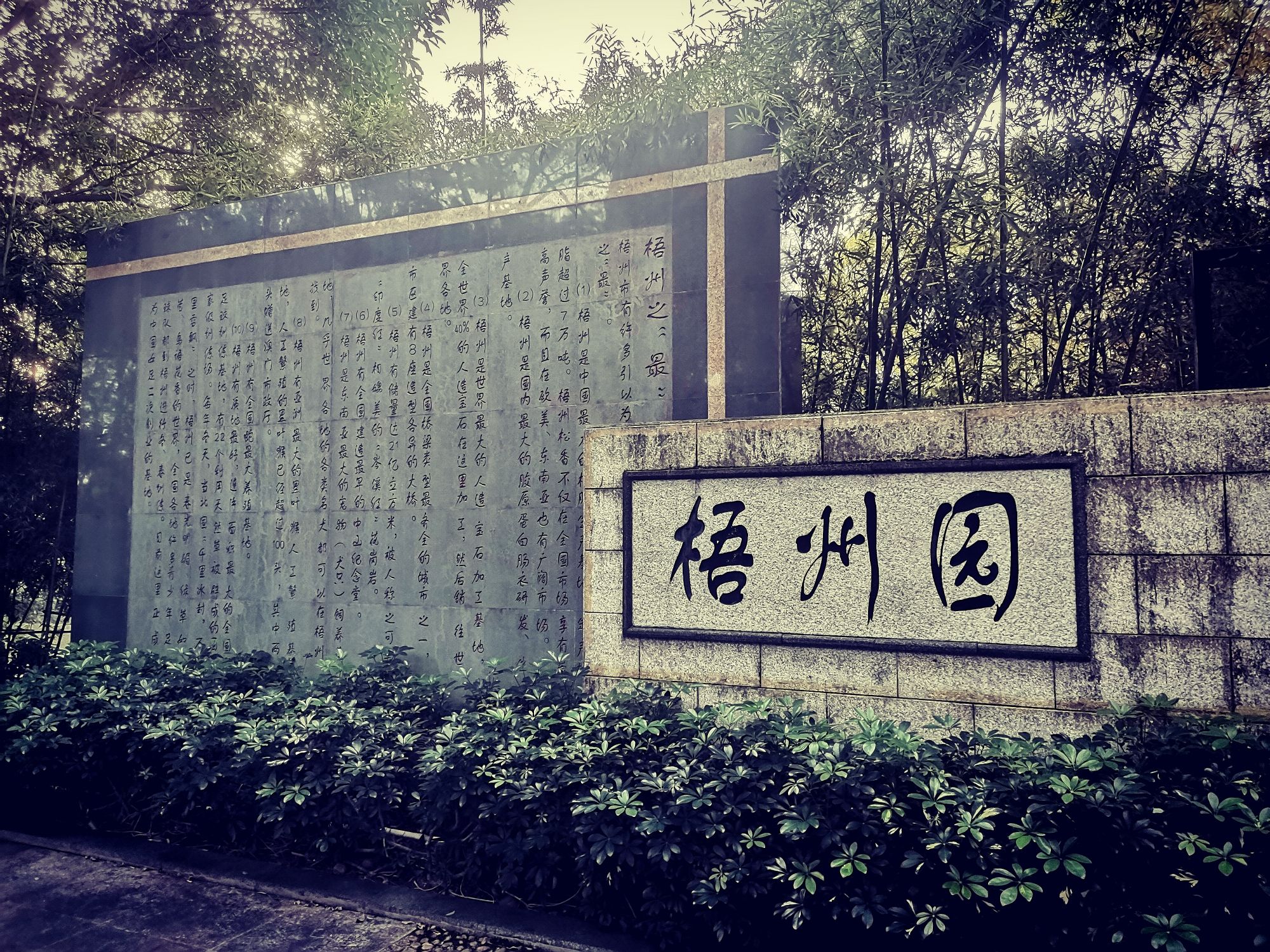 柳州园博园景区旅行图片 3