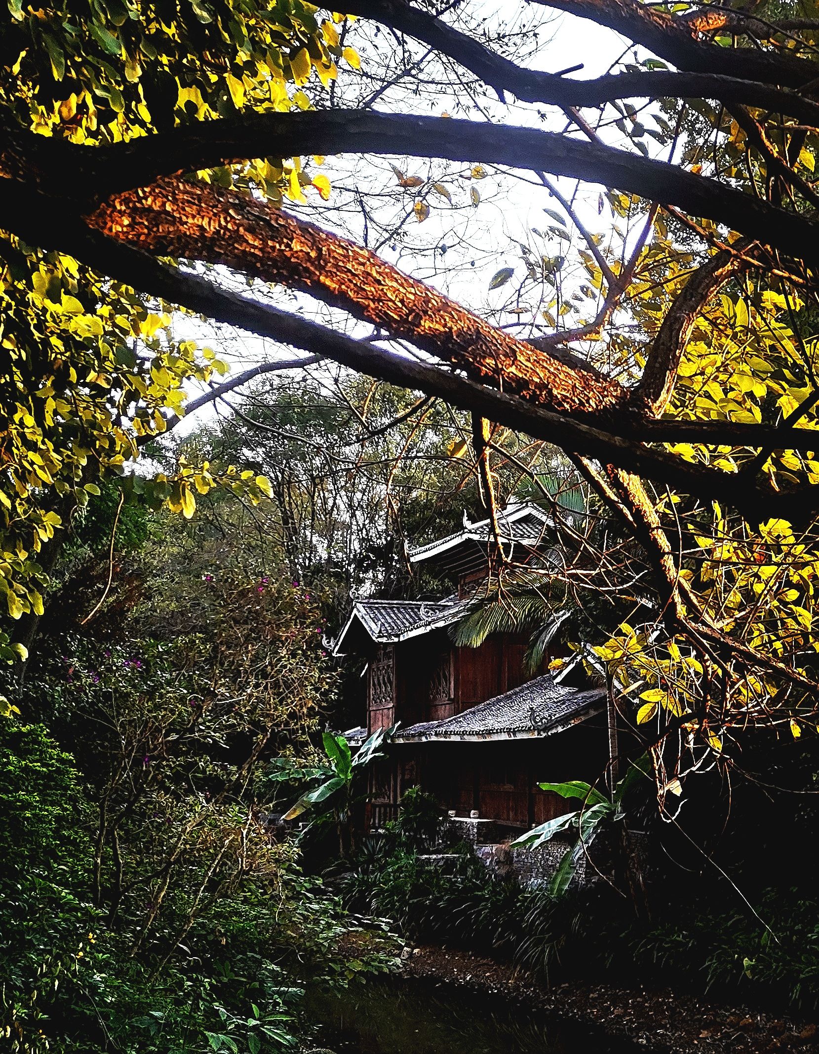 柳州园博园景区旅行图片 2