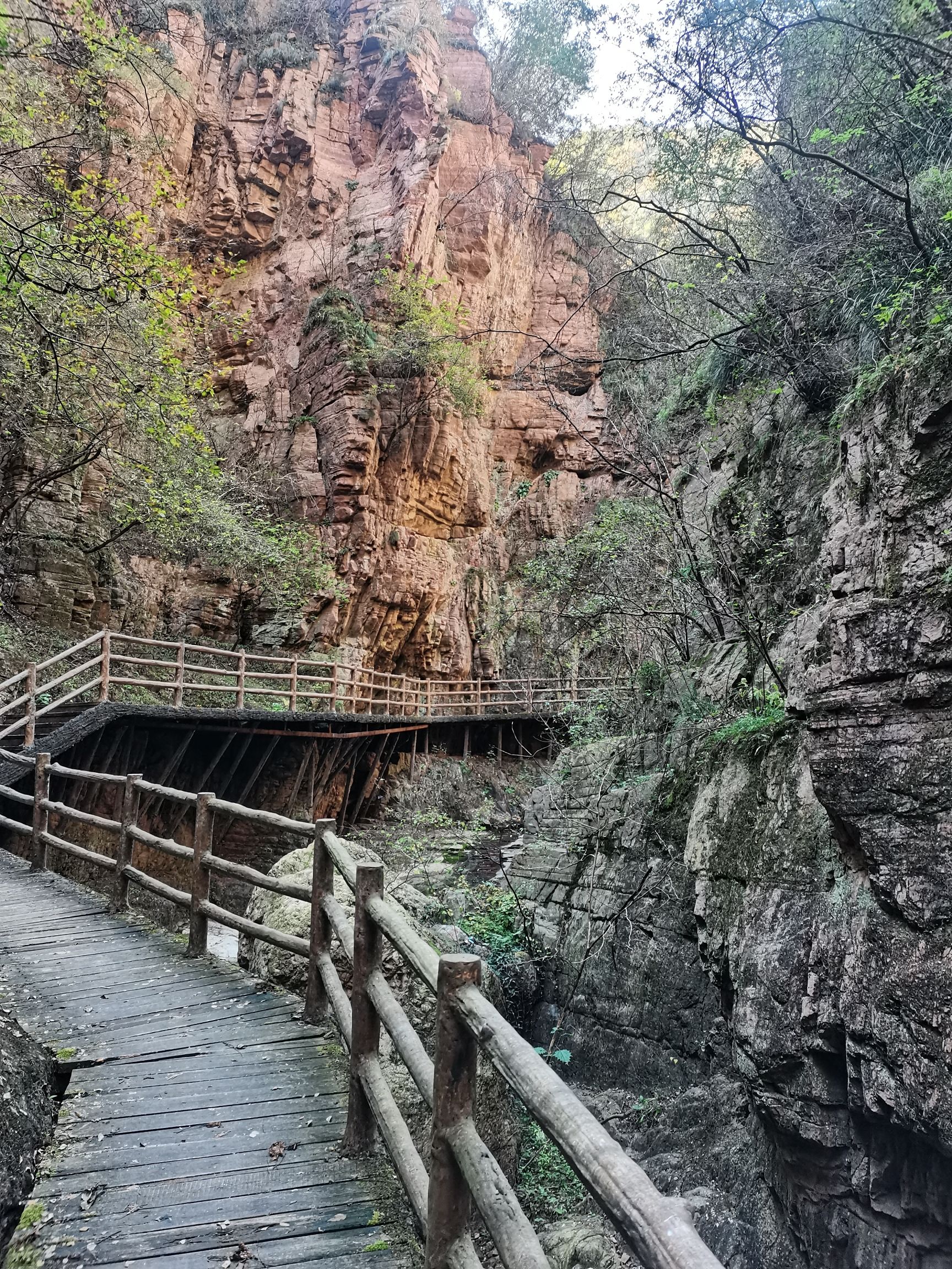 黄河丹峡(暂停开放)旅行图片 1