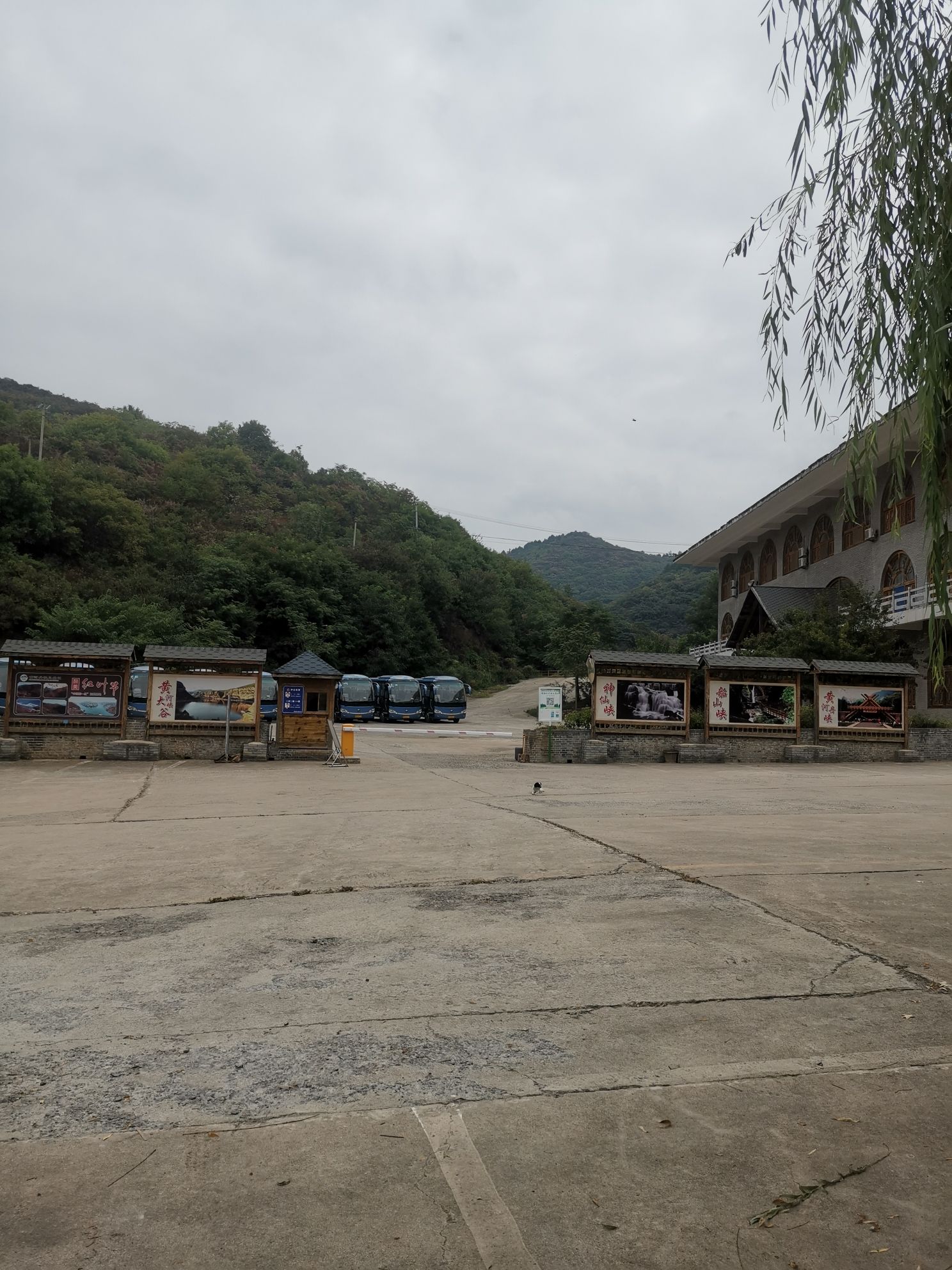 黄河丹峡(暂停开放)旅行图片 2
