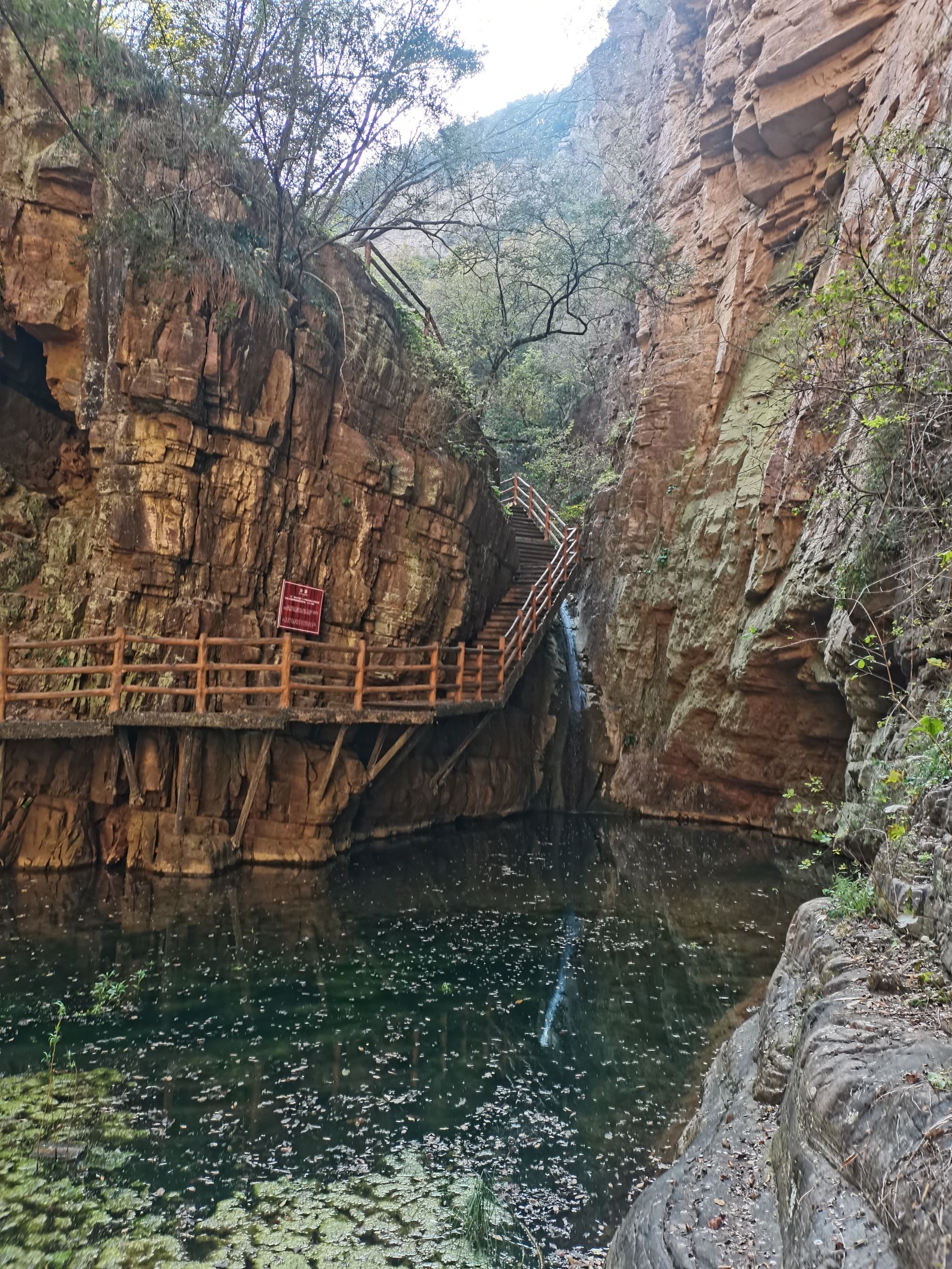 黄河丹峡(暂停开放)旅行图片 2
