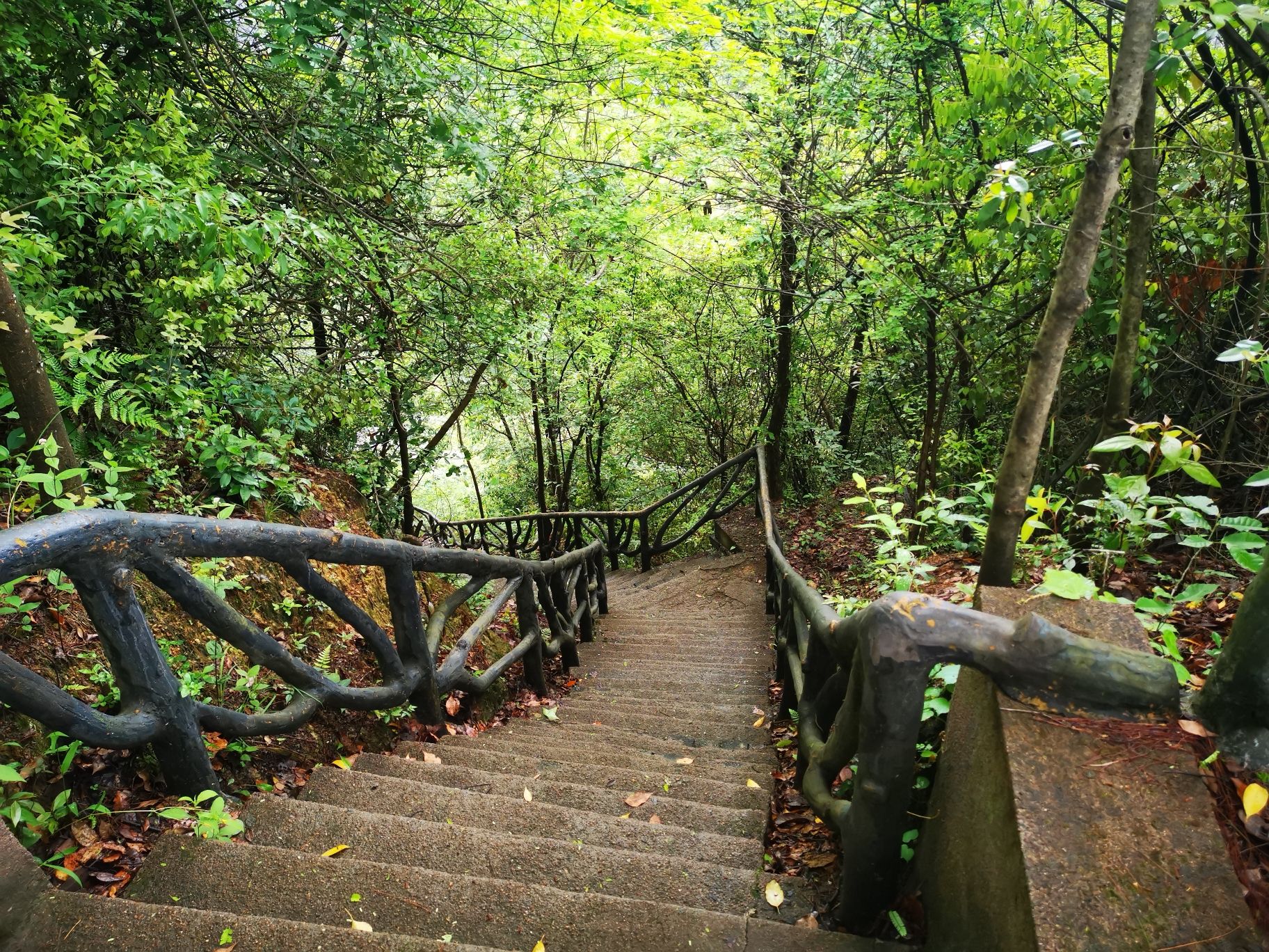天烛仙境风景区旅行图片 2