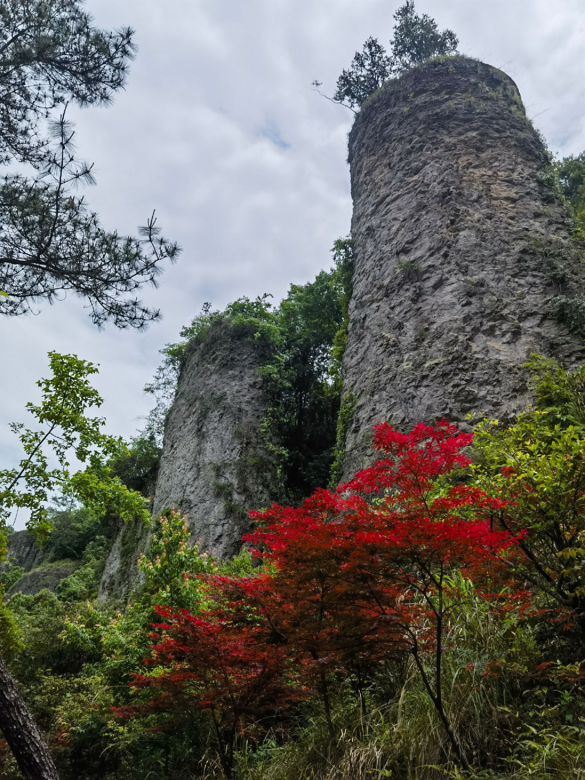 天烛仙境风景区旅行图片 1