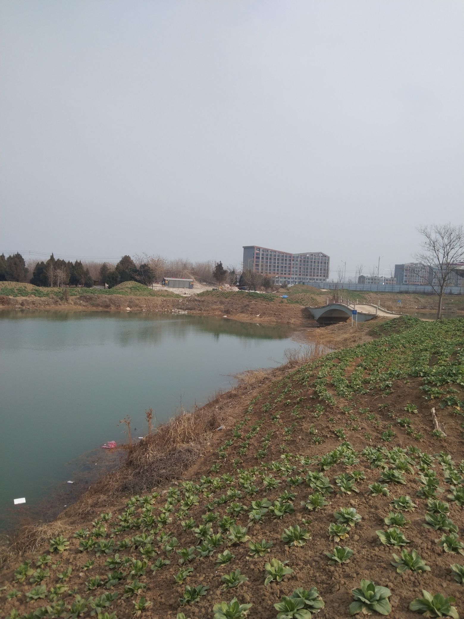 老丘堆遗址旅行图片 2