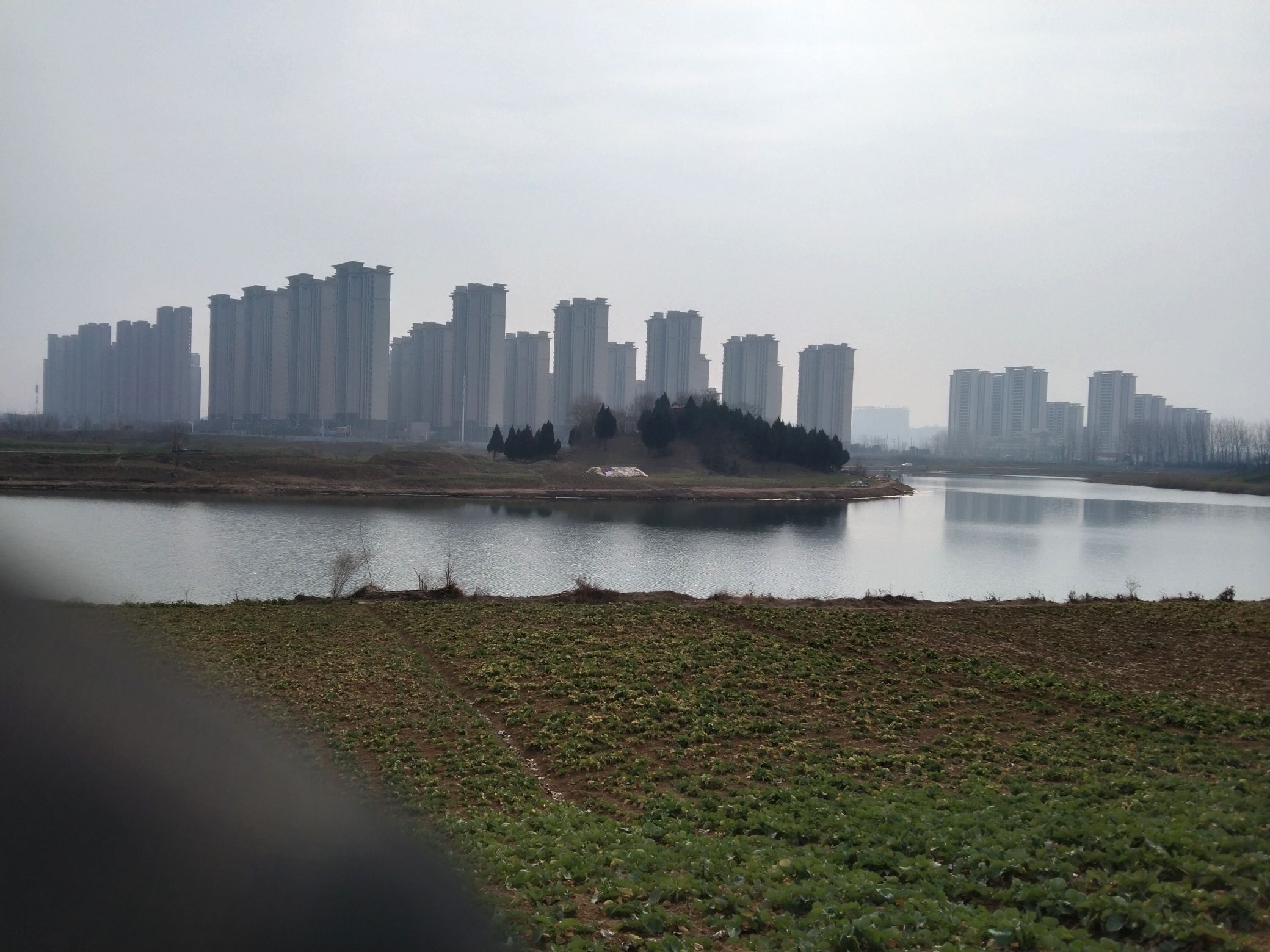 老丘堆遗址旅行图片 3