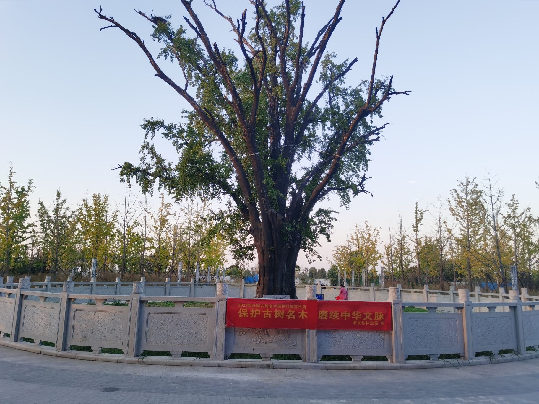 老丘堆遗址旅行图片 2